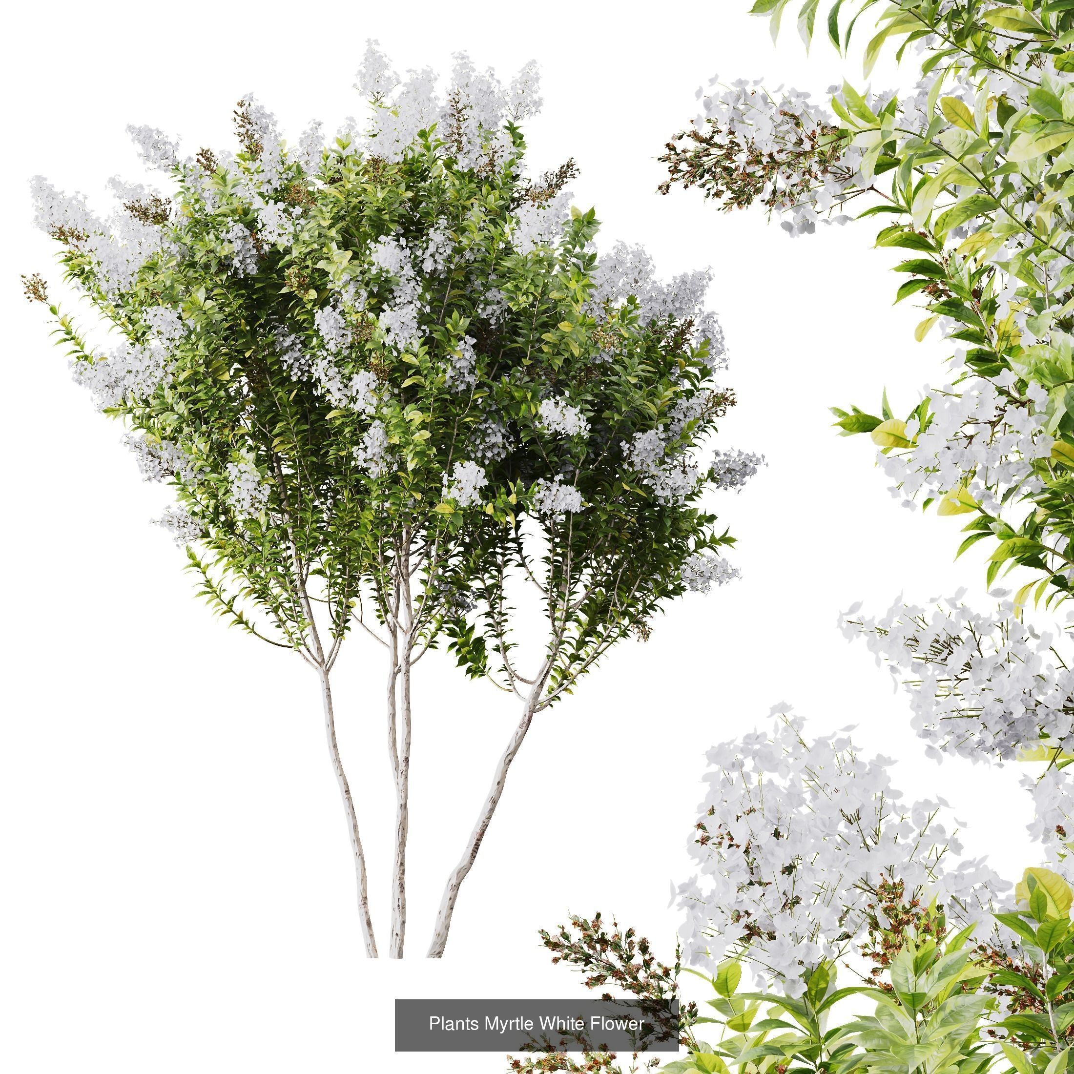  5 Different SETS of Bush SET VOL14 3D Model Collection_6