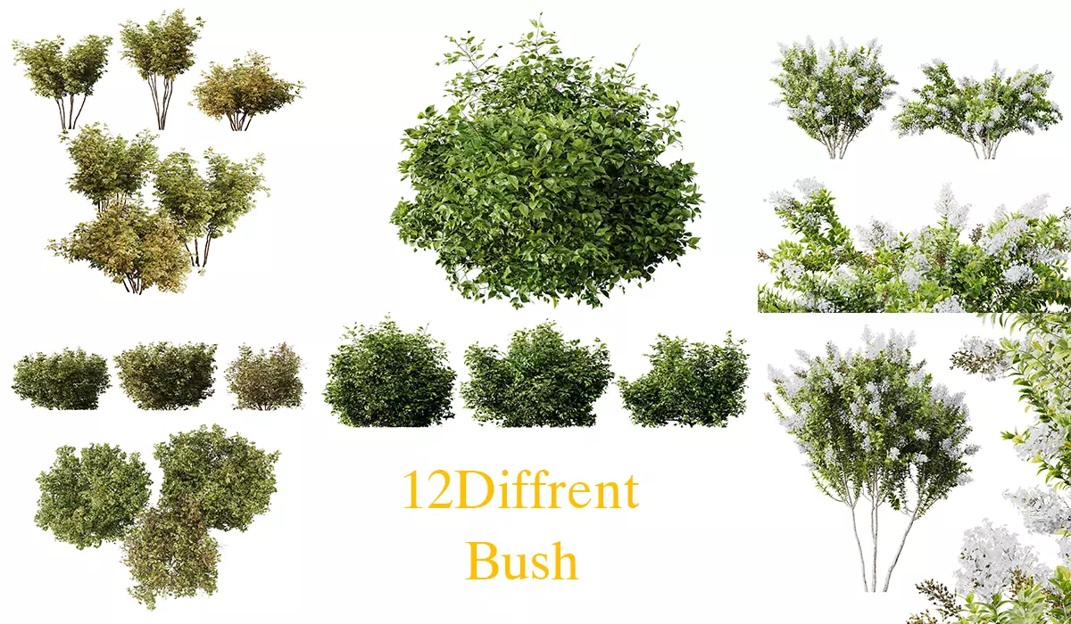  5 Different SETS of Bush SET VOL14 3D Model Collection_0
