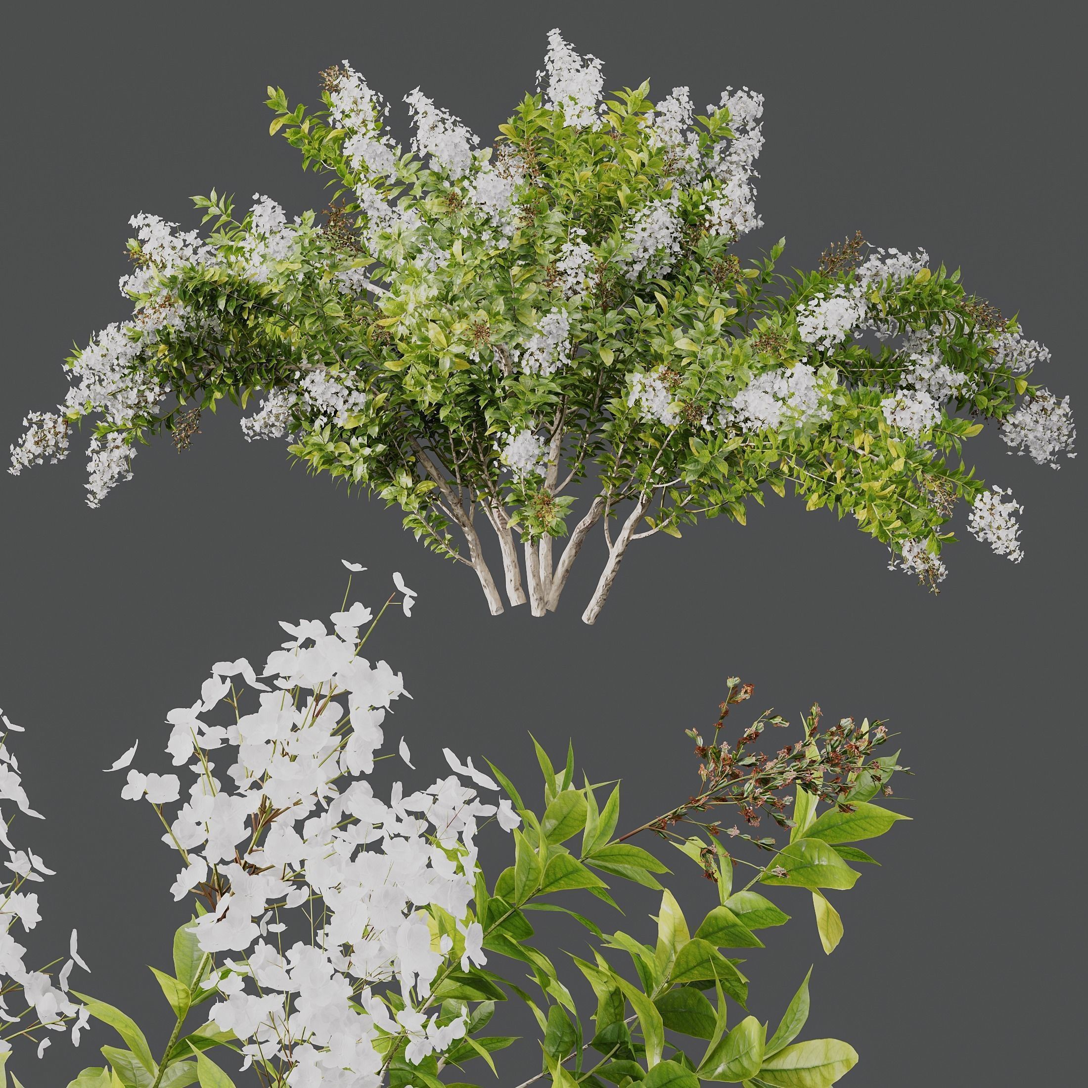  5 Different SETS of Bush SET VOL14 3D Model Collection_12
