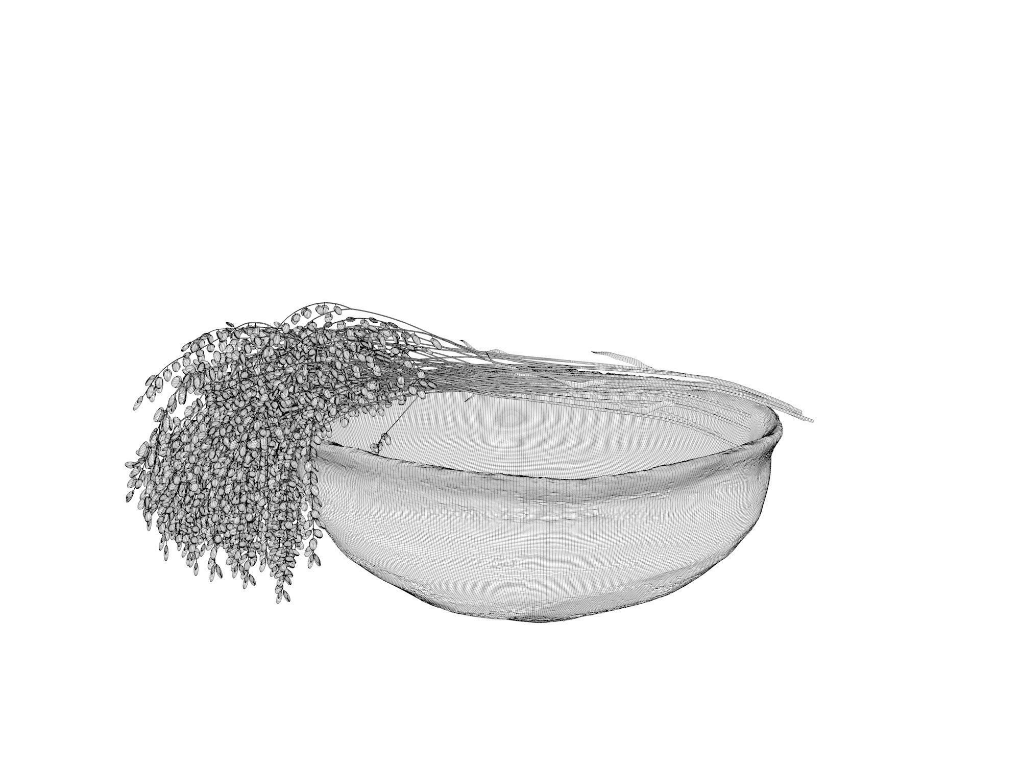 Bowl with Plants 3D model_3