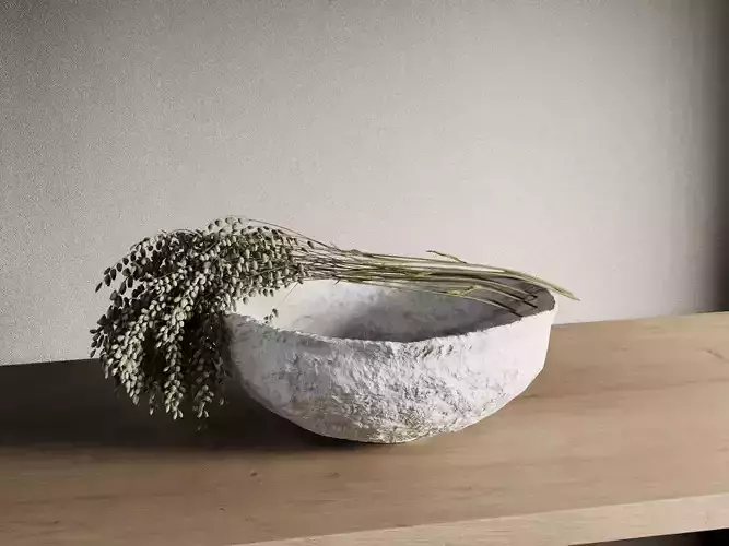 Bowl with Plants