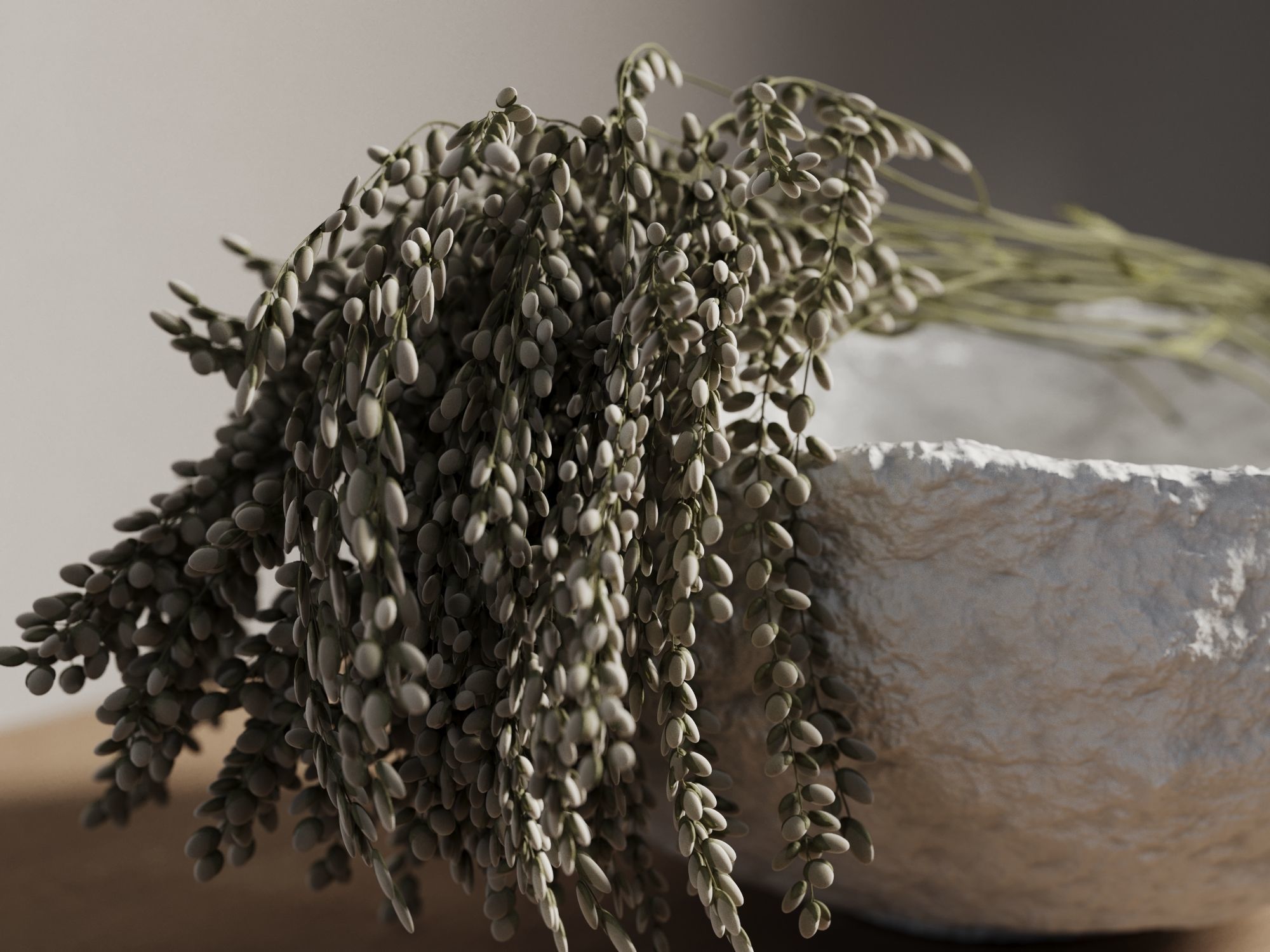 Bowl with Plants 3D model_2