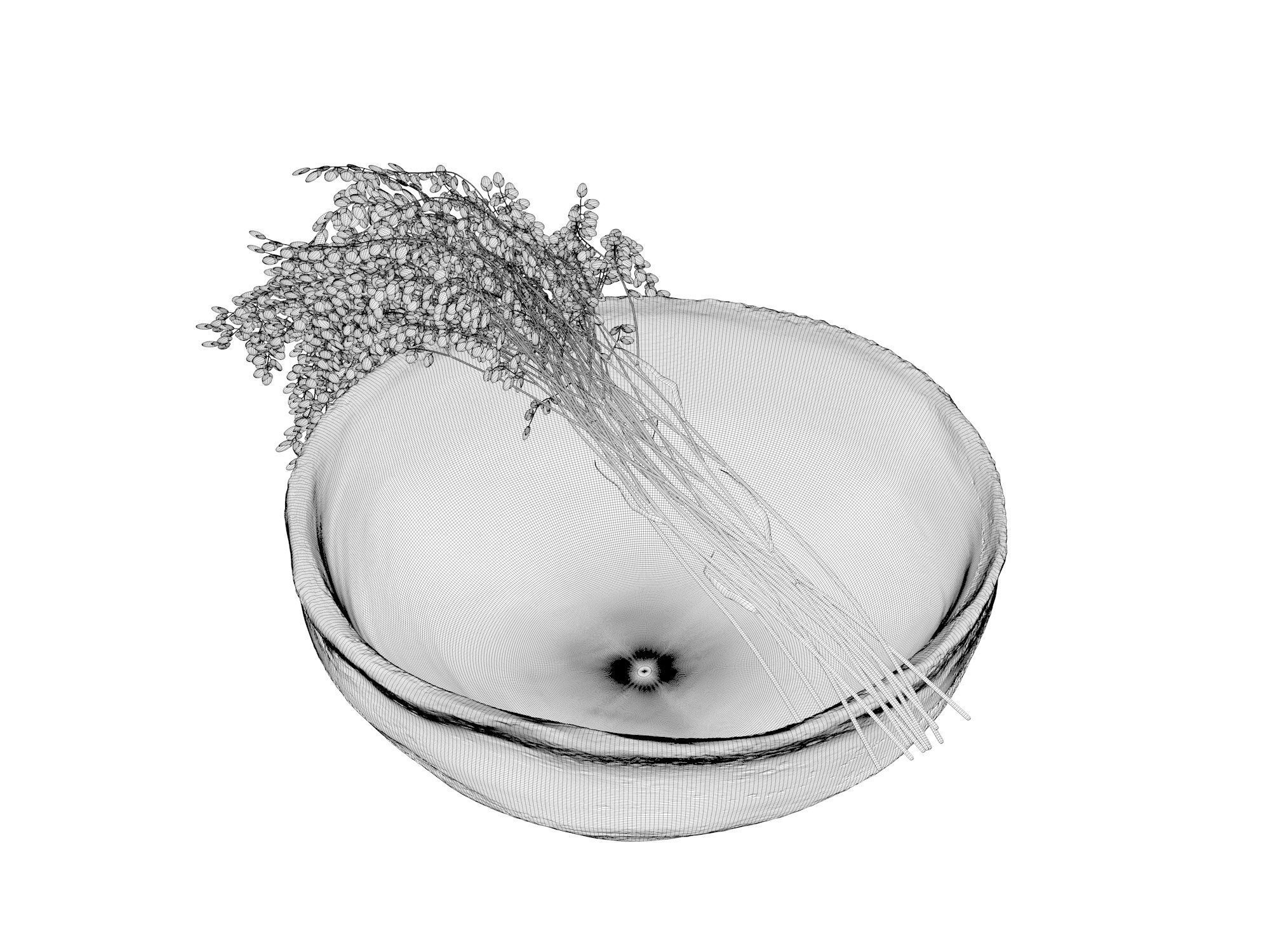 Bowl with Plants 3D model_4