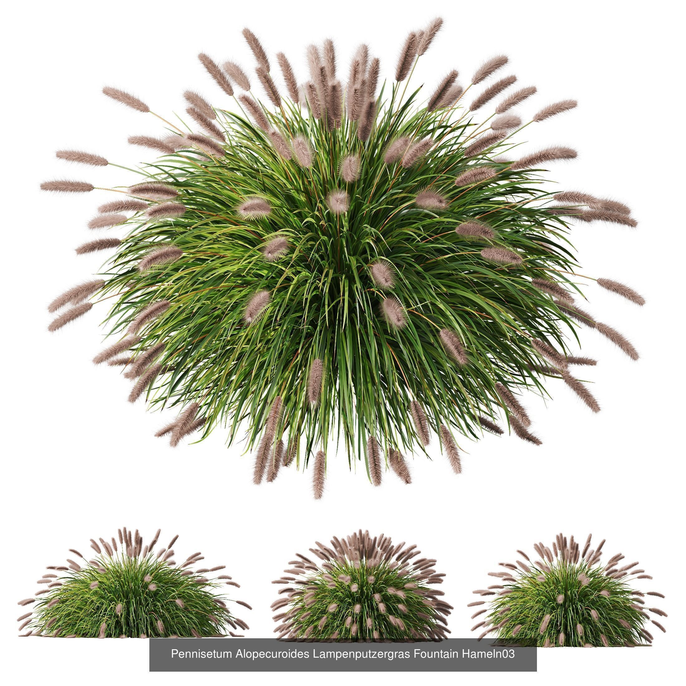 10 Different SETS of Grass SET VOL15 3D Model Collection_5