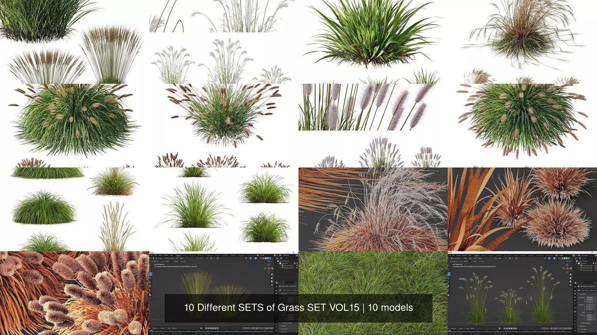 10 Different SETS of Grass SET VOL15 3D Model Collection_1