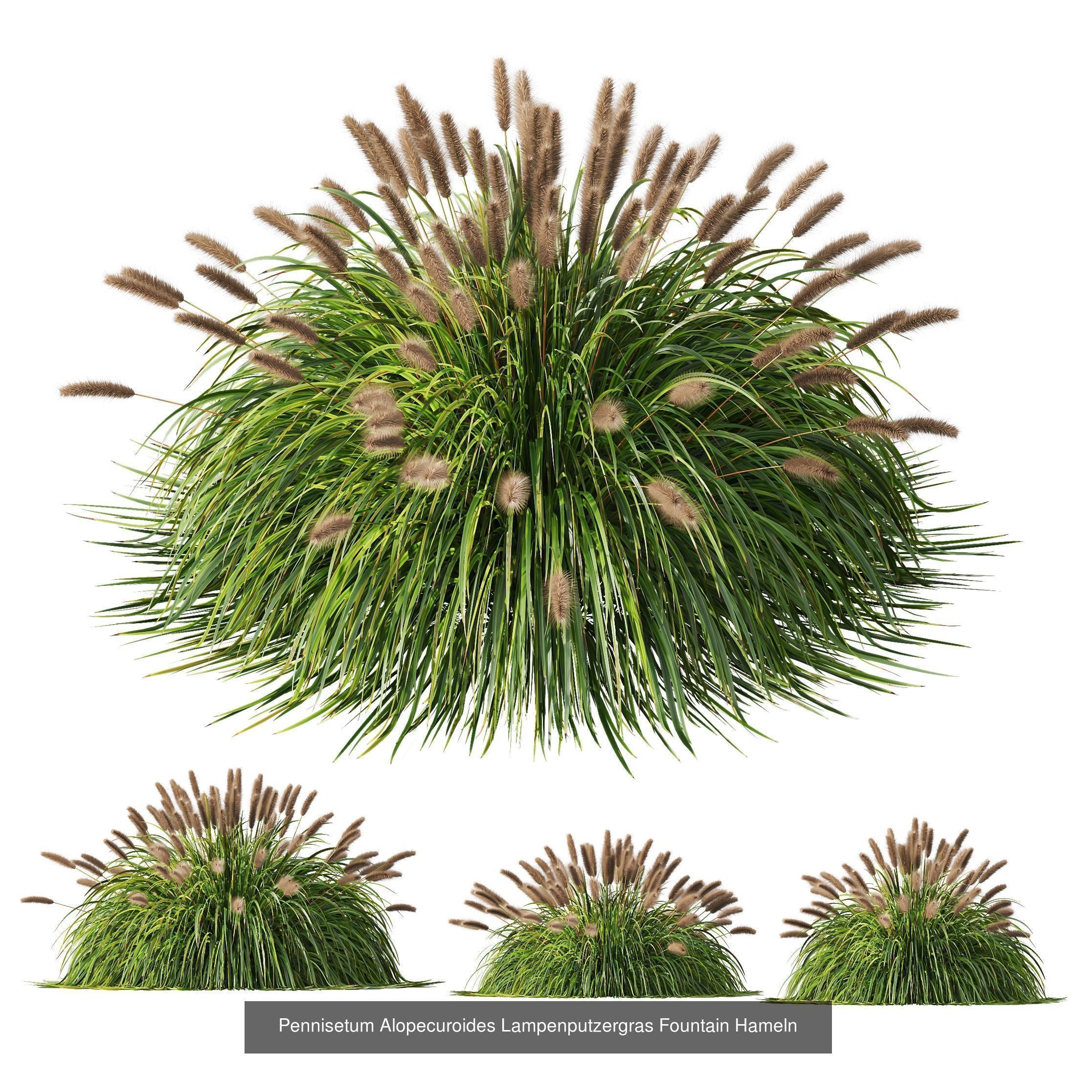 10 Different SETS of Grass SET VOL15 3D Model Collection_3