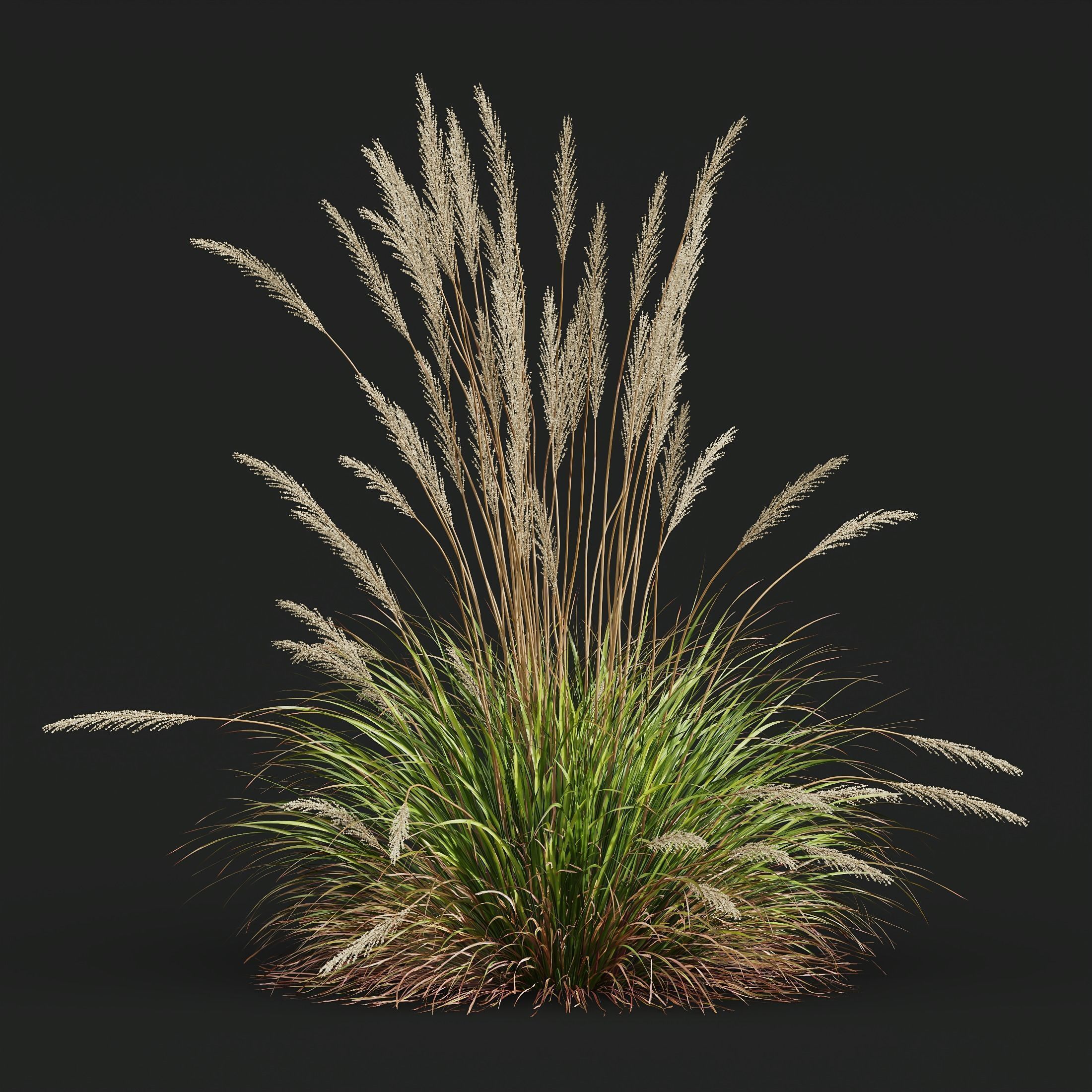 10 Different SETS of Grass SET VOL15 3D Model Collection_15