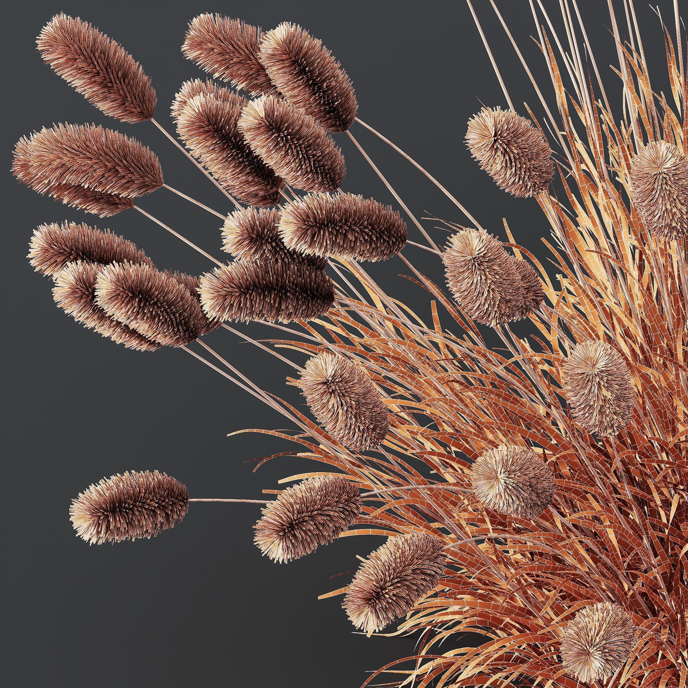 10 Different SETS of Grass SET VOL15 3D Model Collection_22