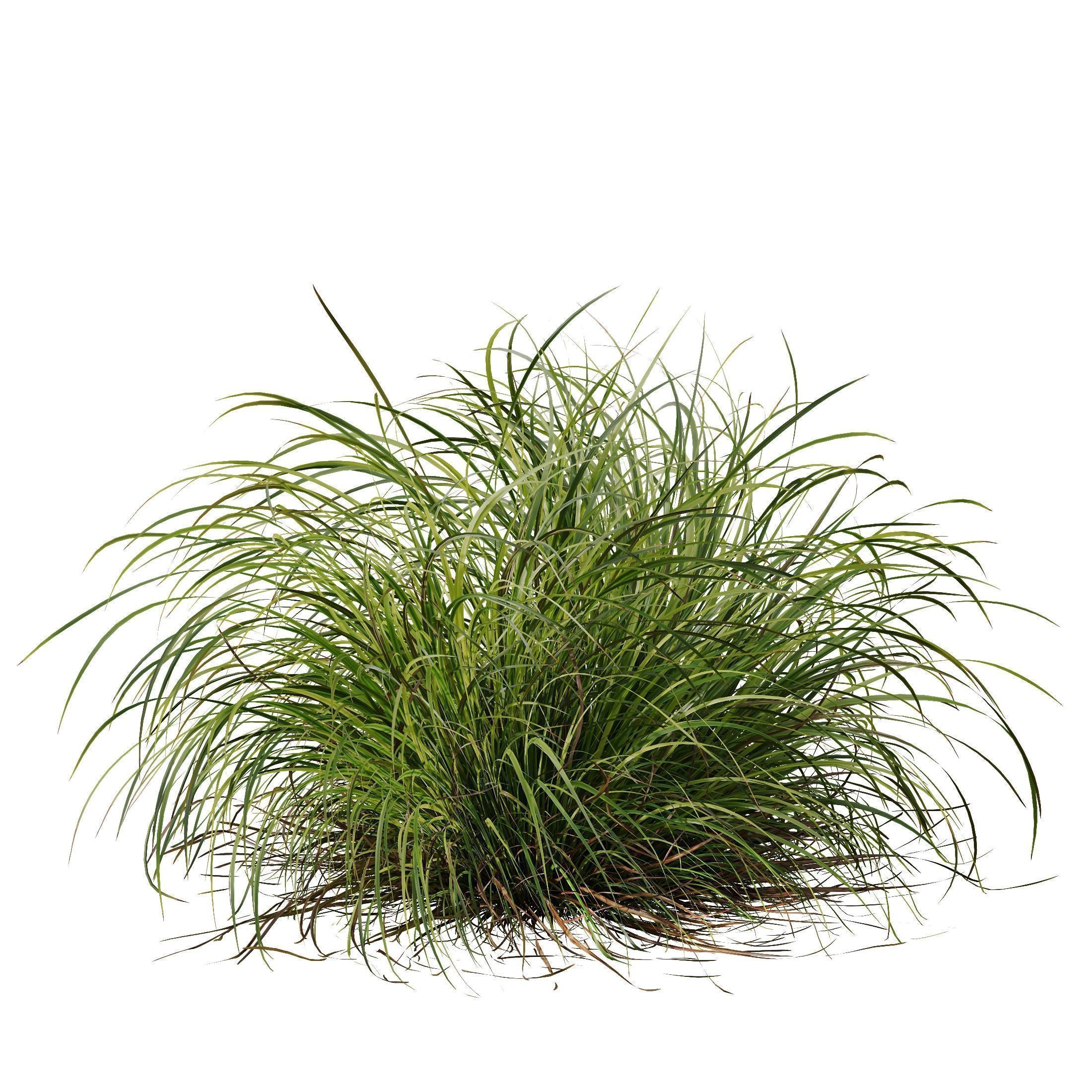 10 Different SETS of Grass SET VOL15 3D Model Collection_16