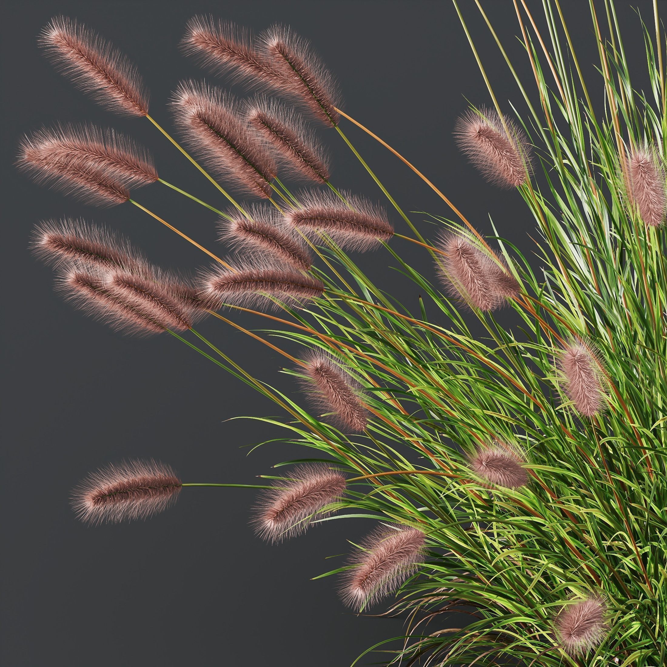 10 Different SETS of Grass SET VOL15 3D Model Collection_19