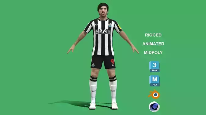 3D Rigged Sandro Tonali Newcastle United 2024 3D model