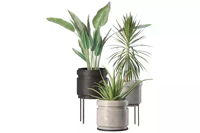 plant set-001