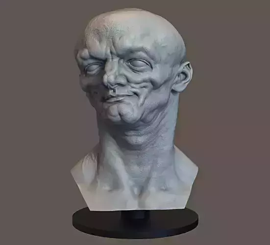 Freak Head 3D print model