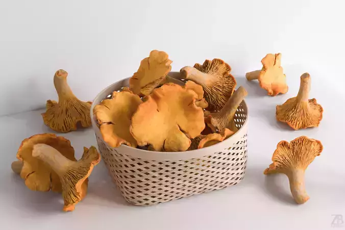 Mushroom 3D model