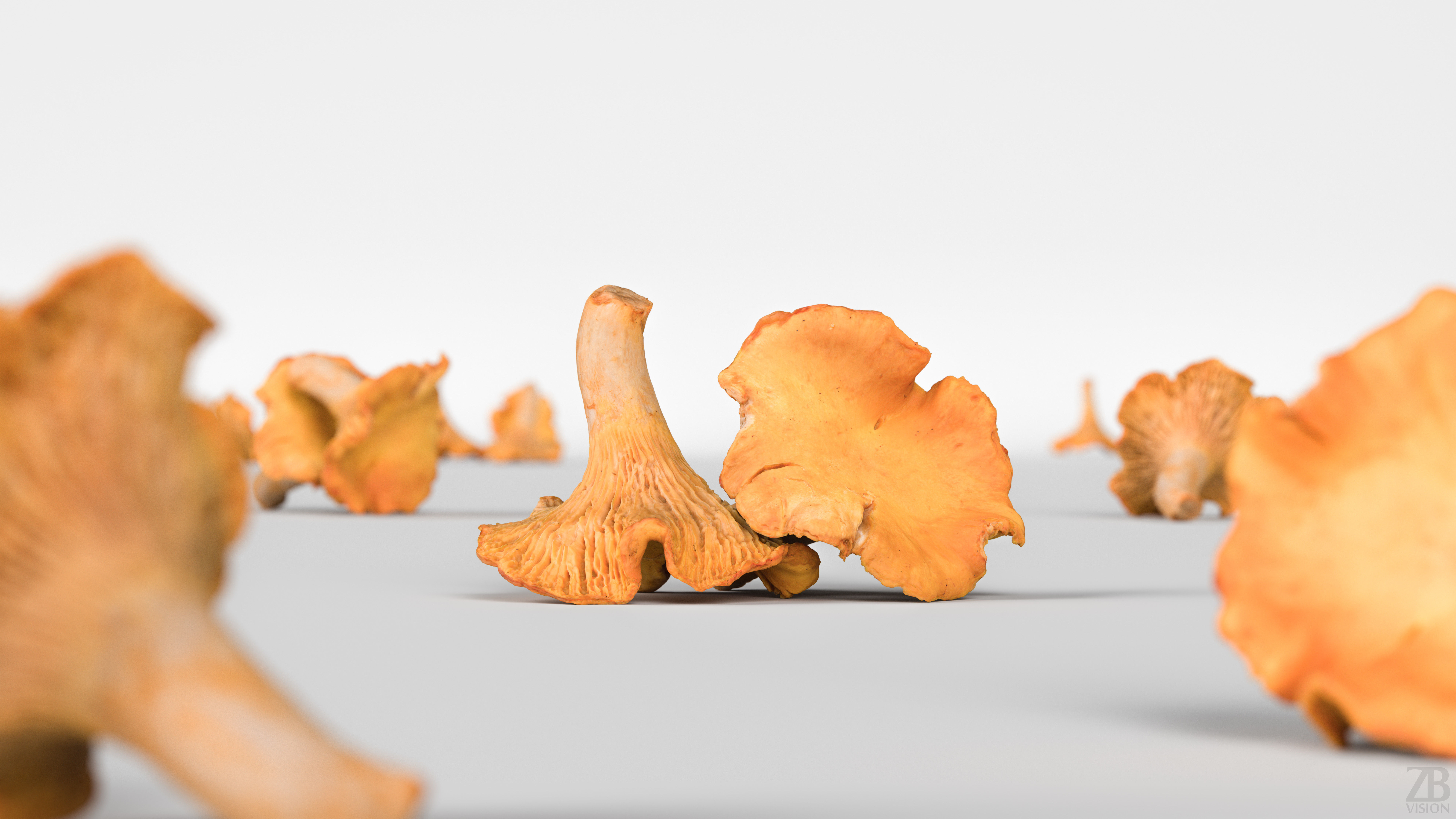 Mushroom 3D model_1