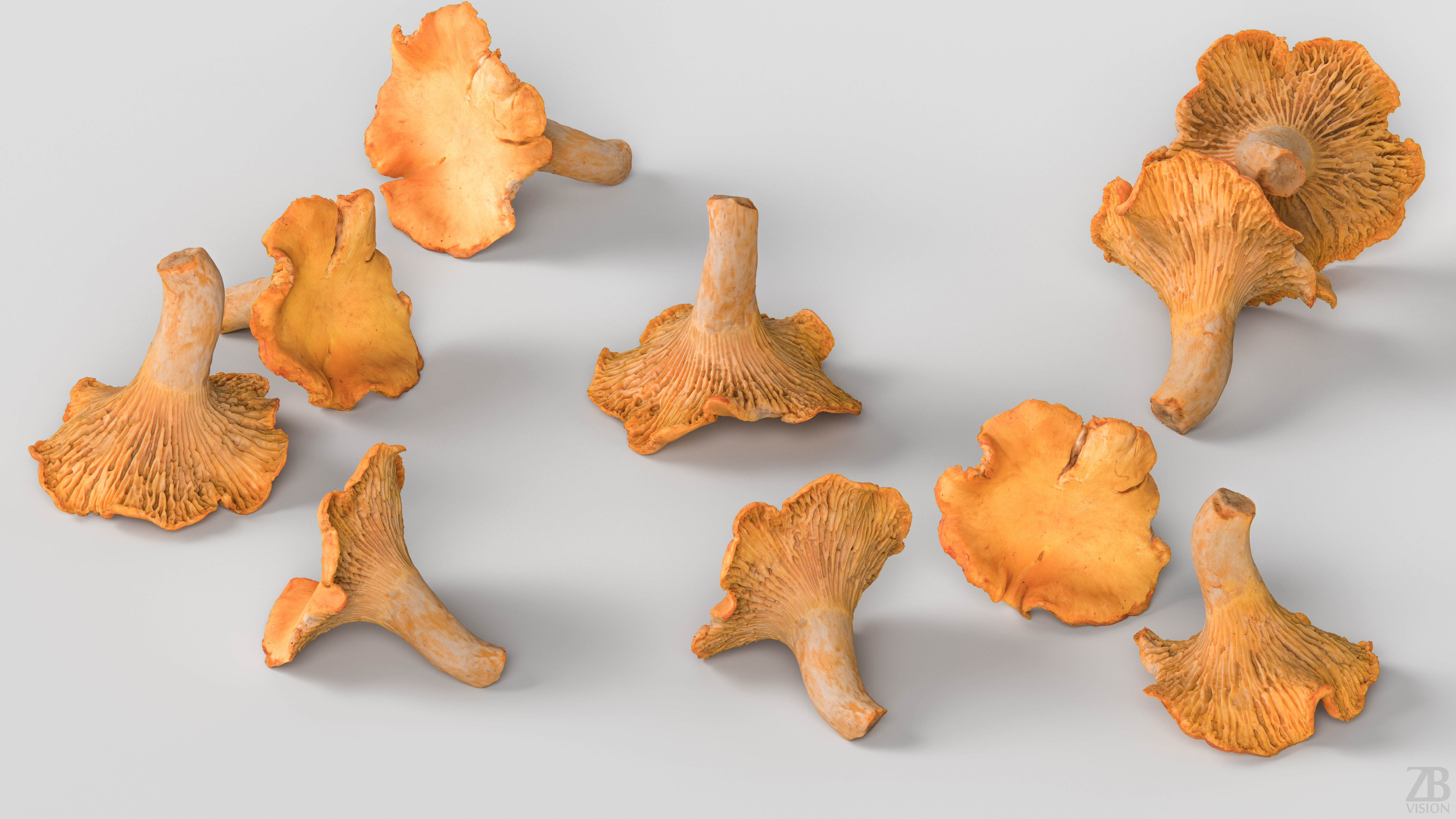 Mushroom 3D model_2