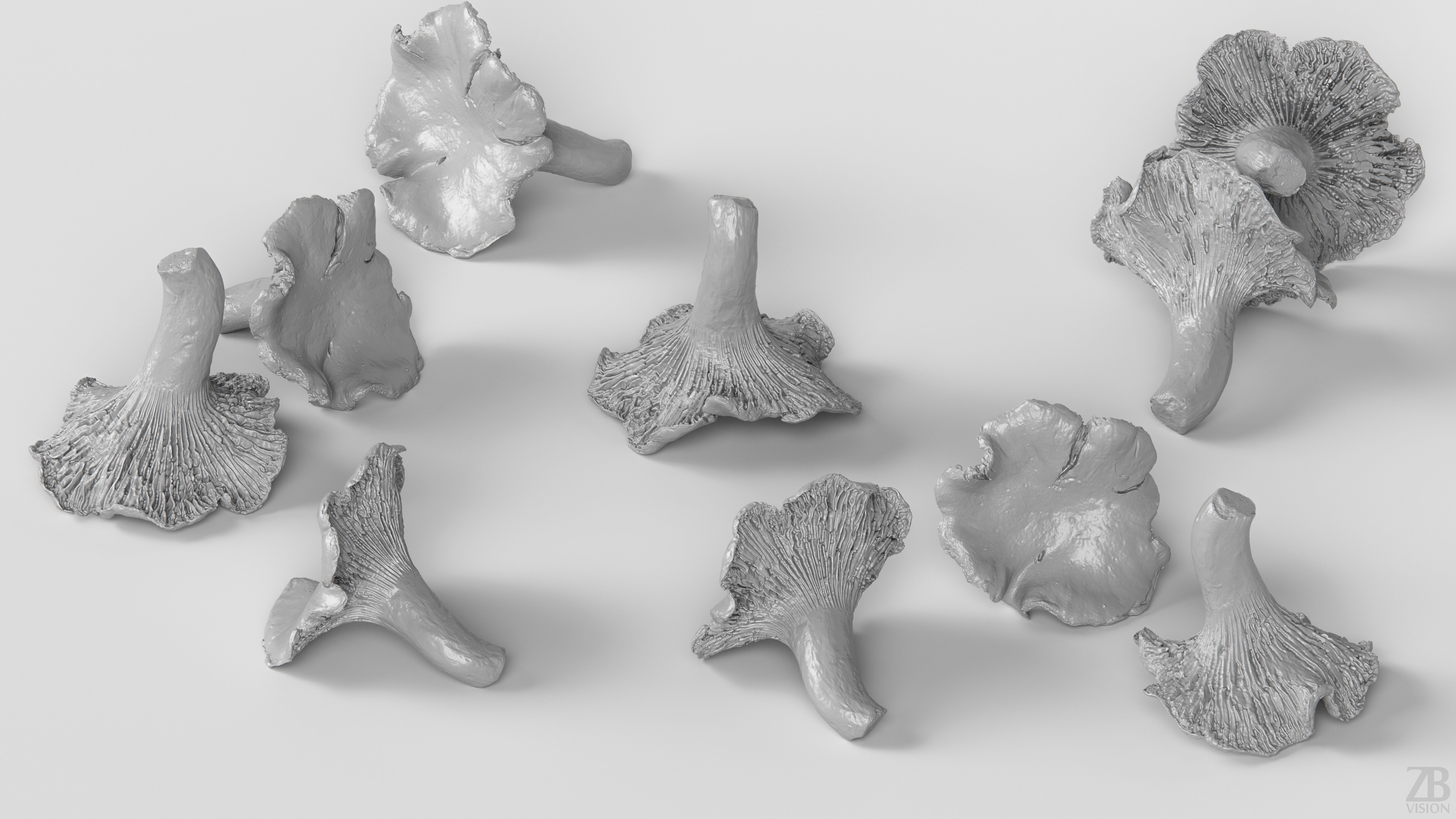 Mushroom 3D model_3