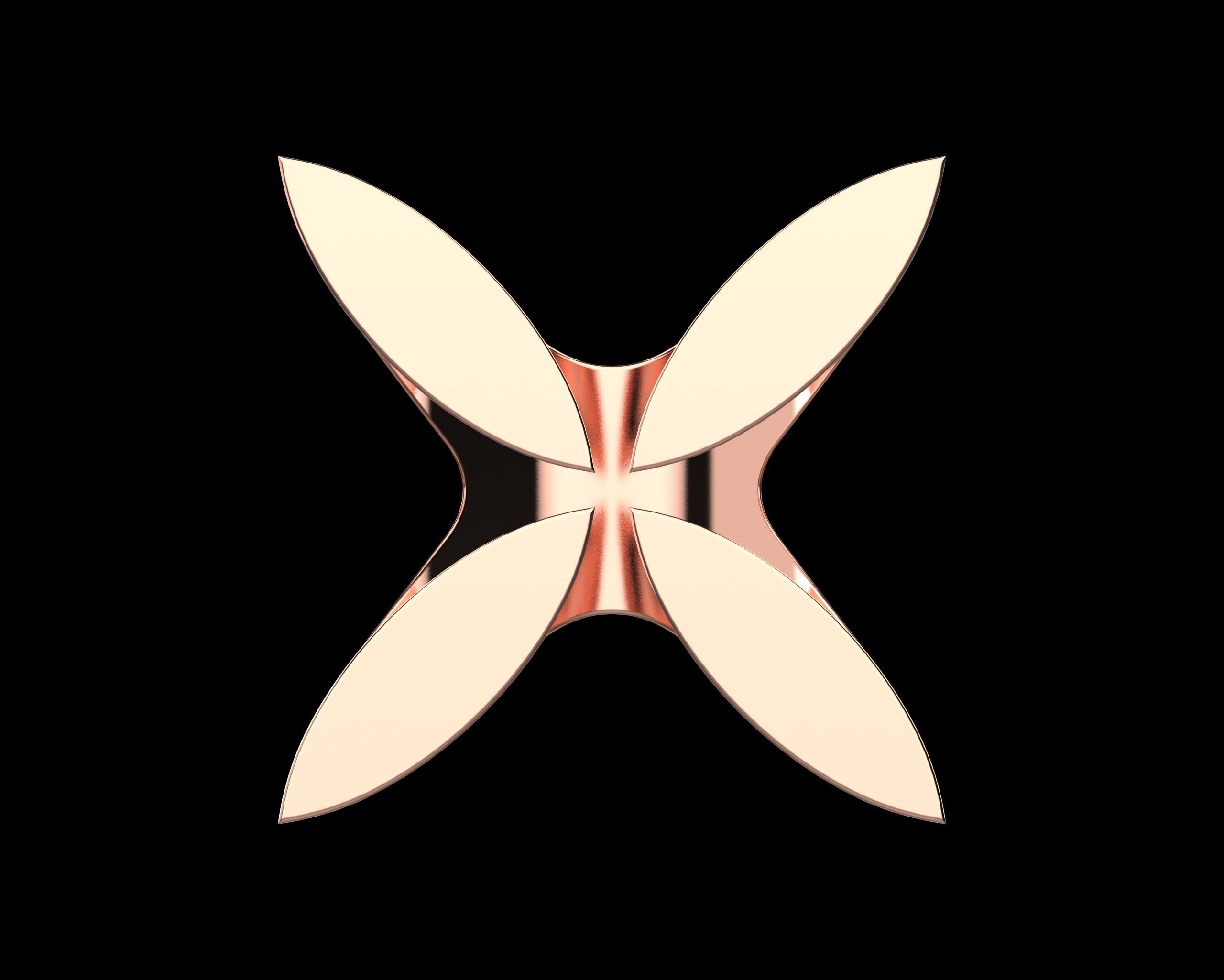 Abstract Ring N117 3D print model_22