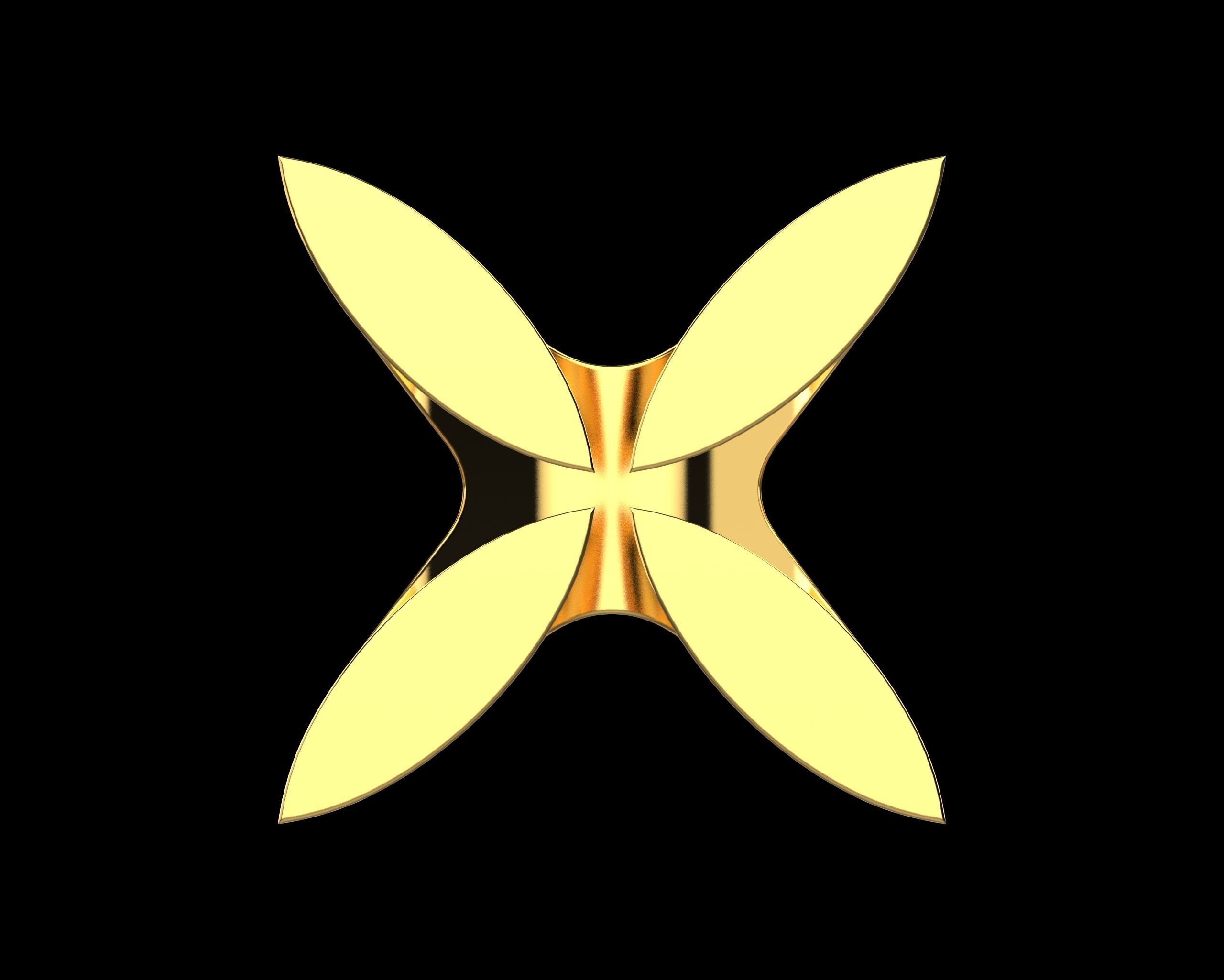 Abstract Ring N117 3D print model_12