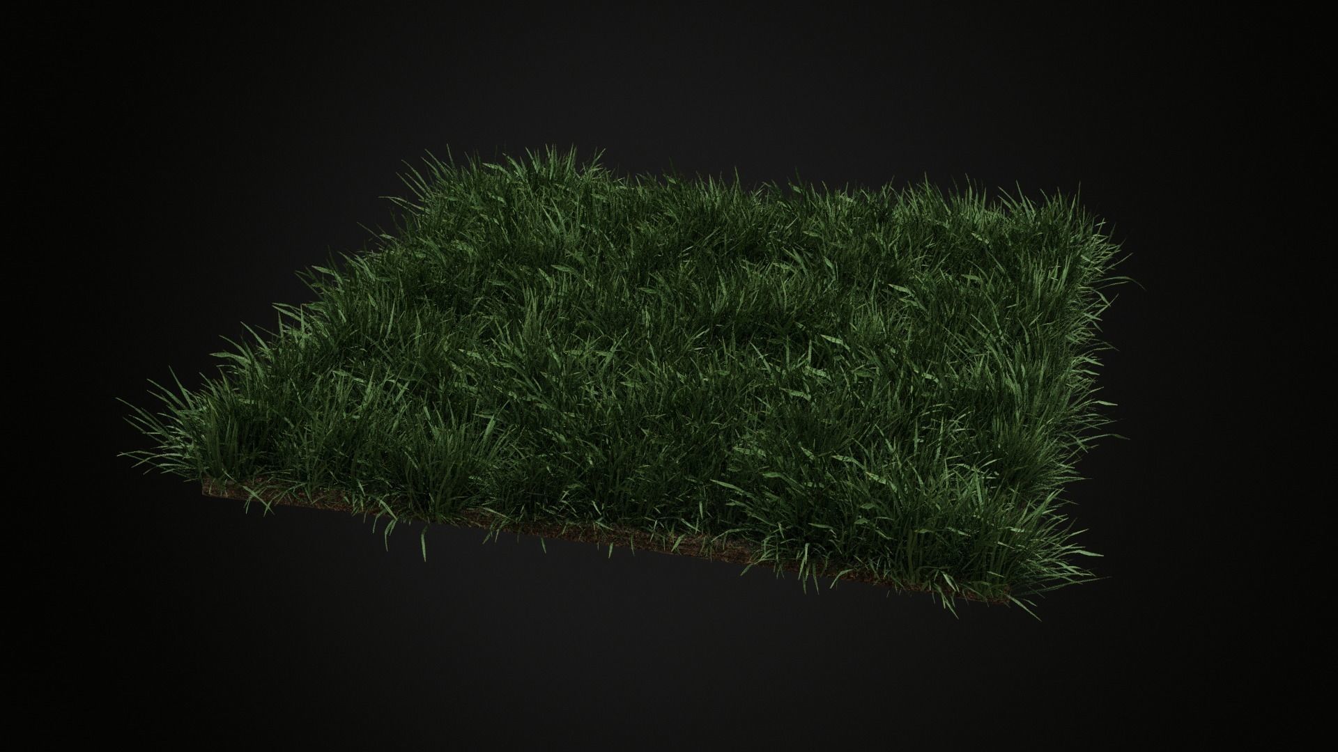 Grass Low-poly 3D model_4