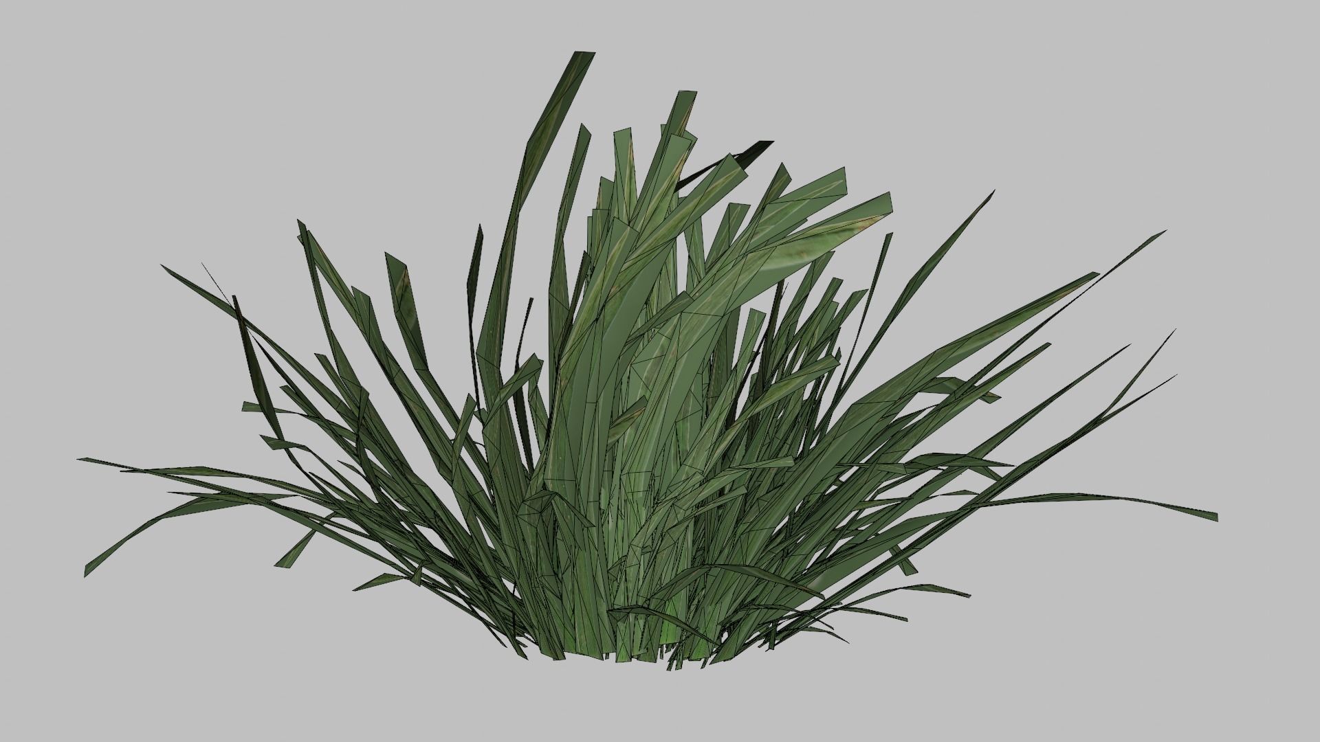 Grass Low-poly 3D model_9