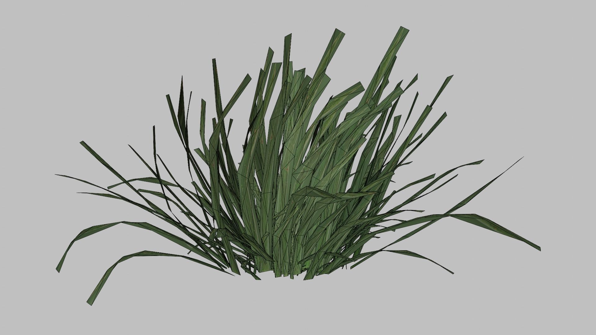 Grass Low-poly 3D model_12
