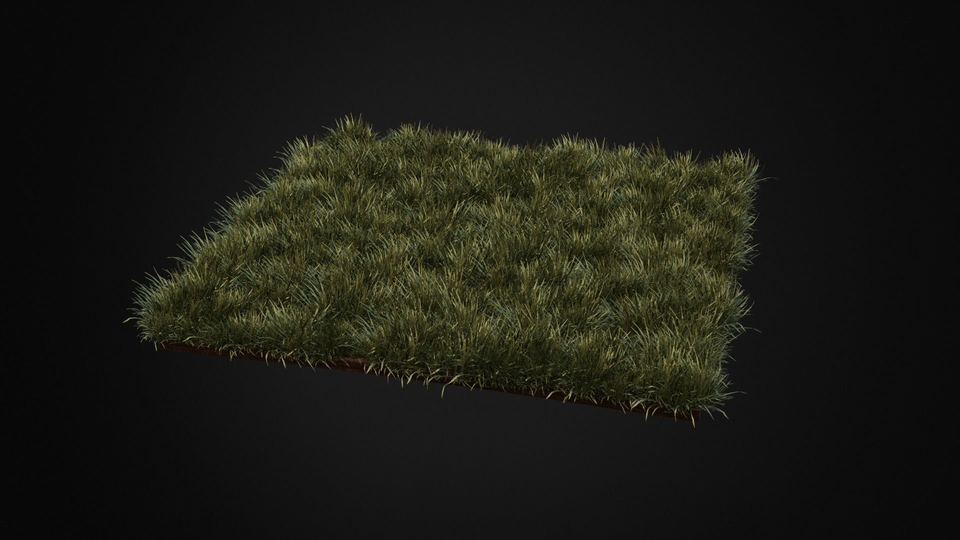 Grass Low-poly 3D model_7