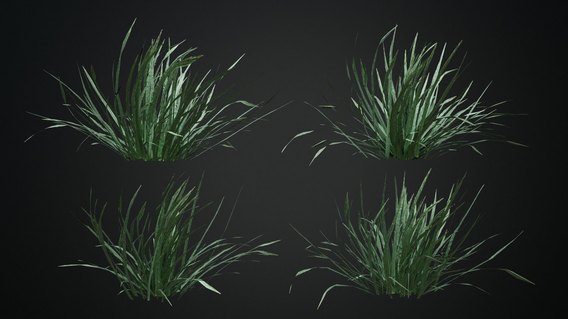 Grass Low-poly 3D model_5