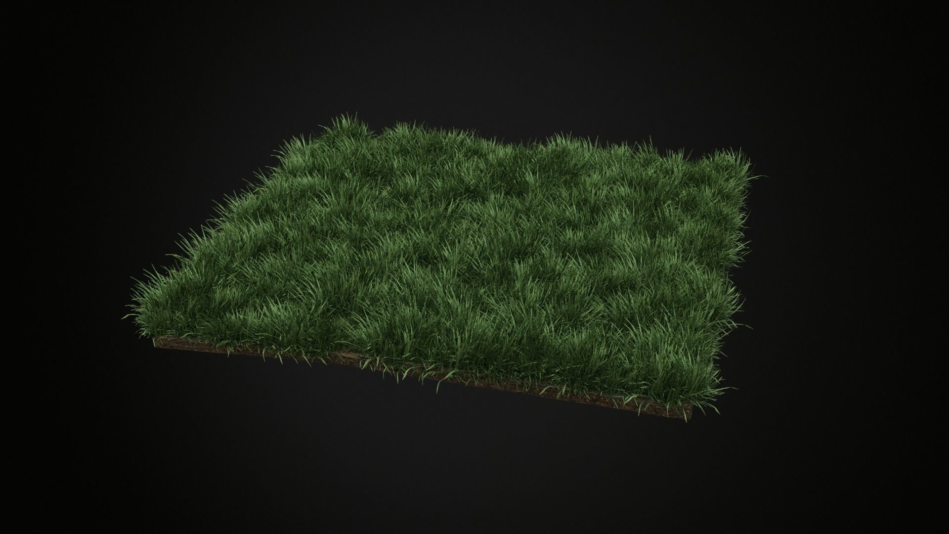 Grass Low-poly 3D model_6