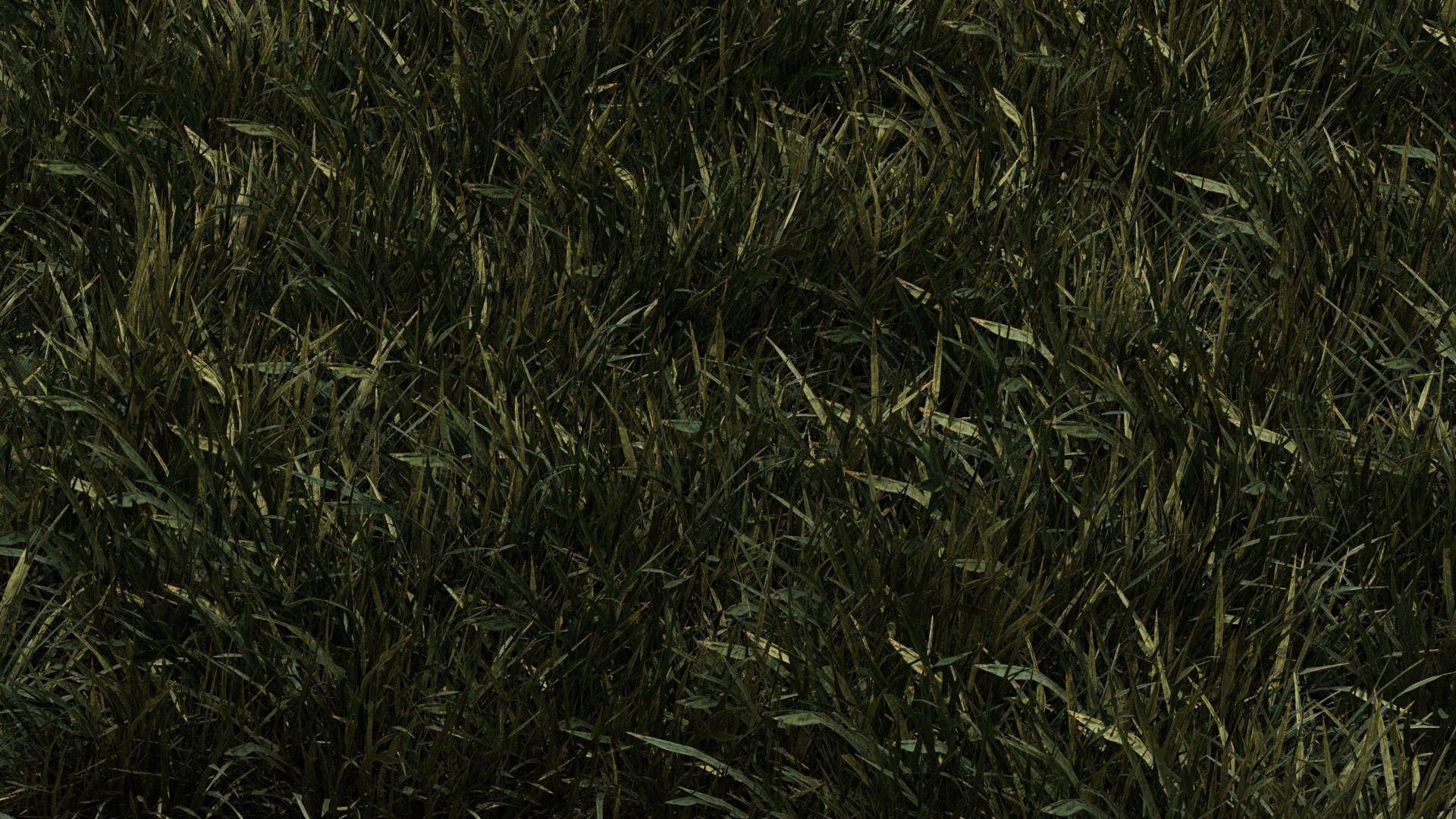 Grass Low-poly 3D model_1