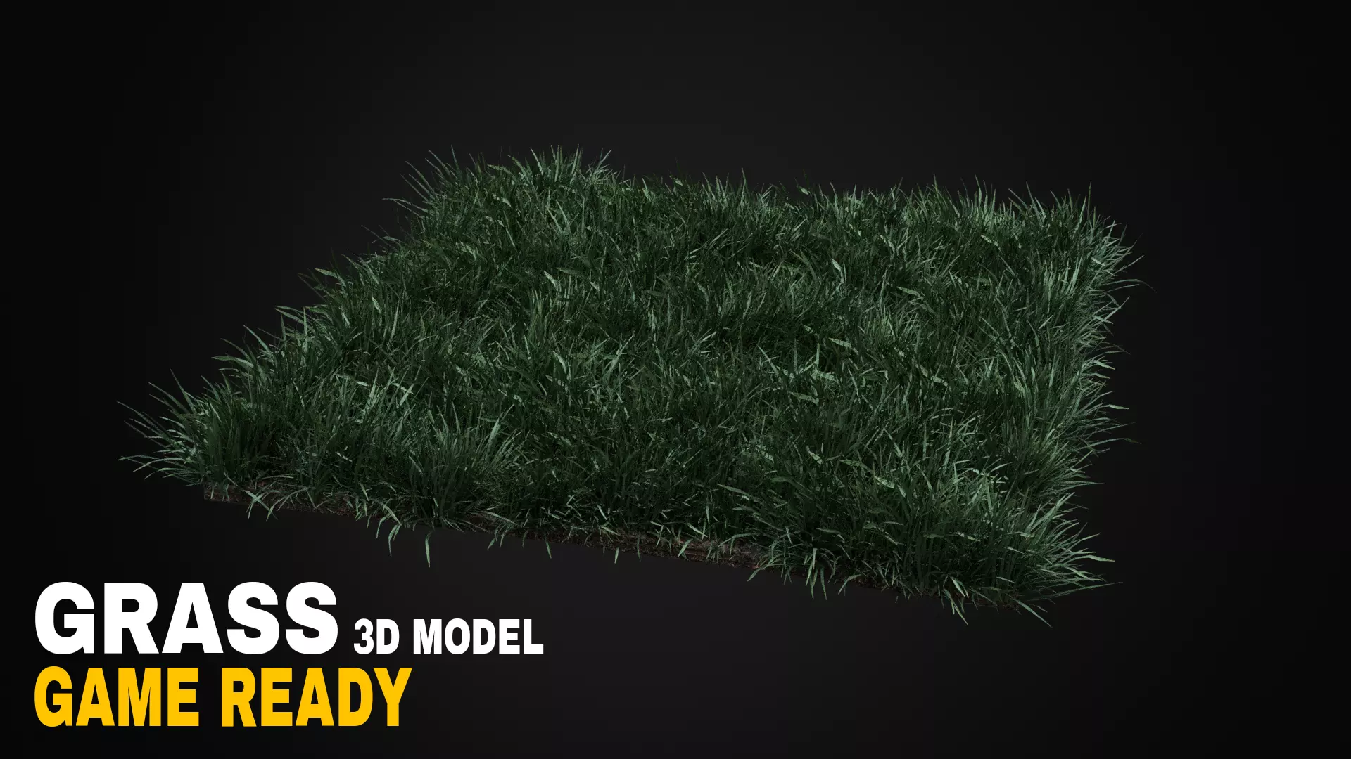 Grass Low-poly 3D model_0