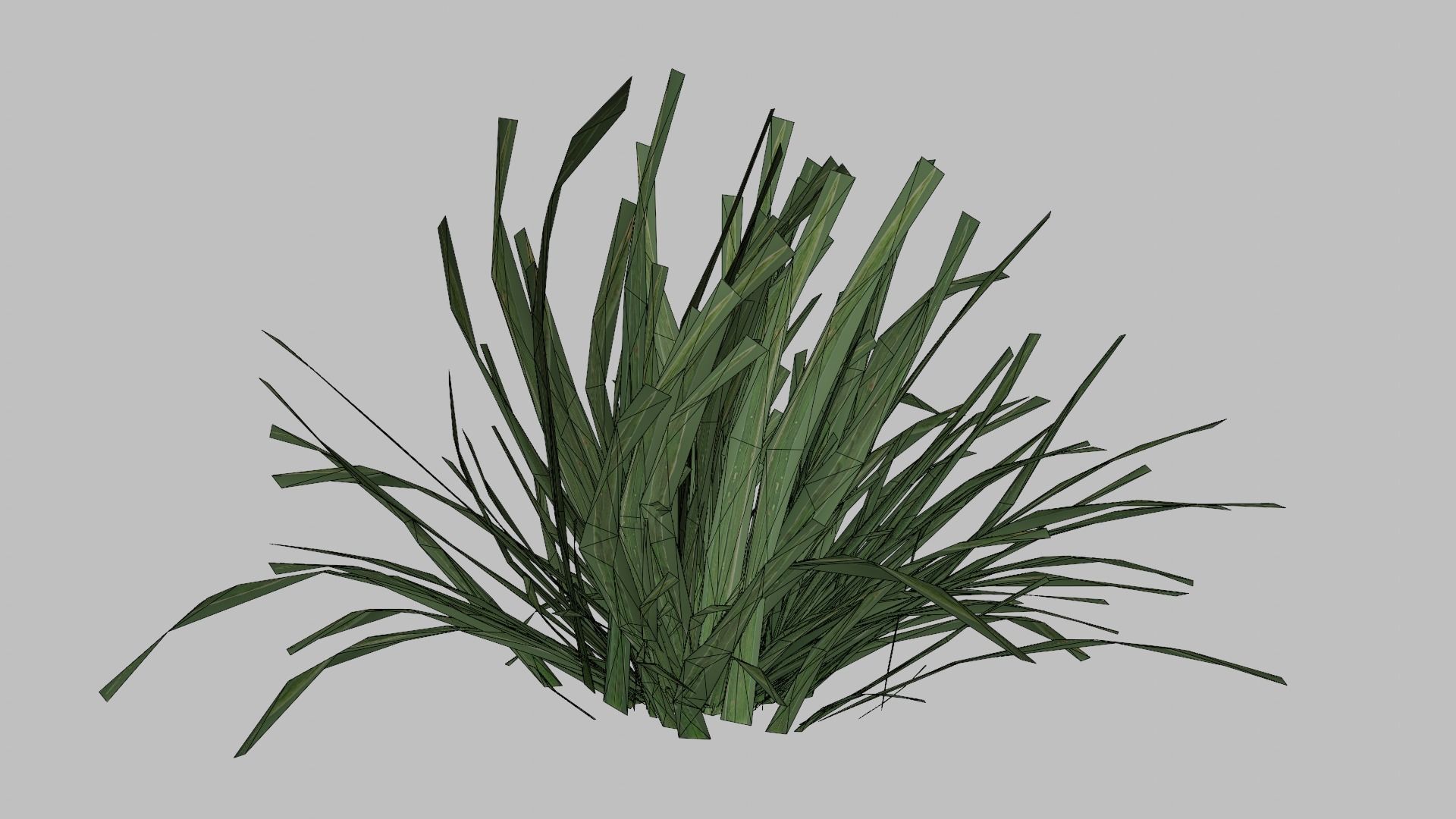 Grass Low-poly 3D model_11