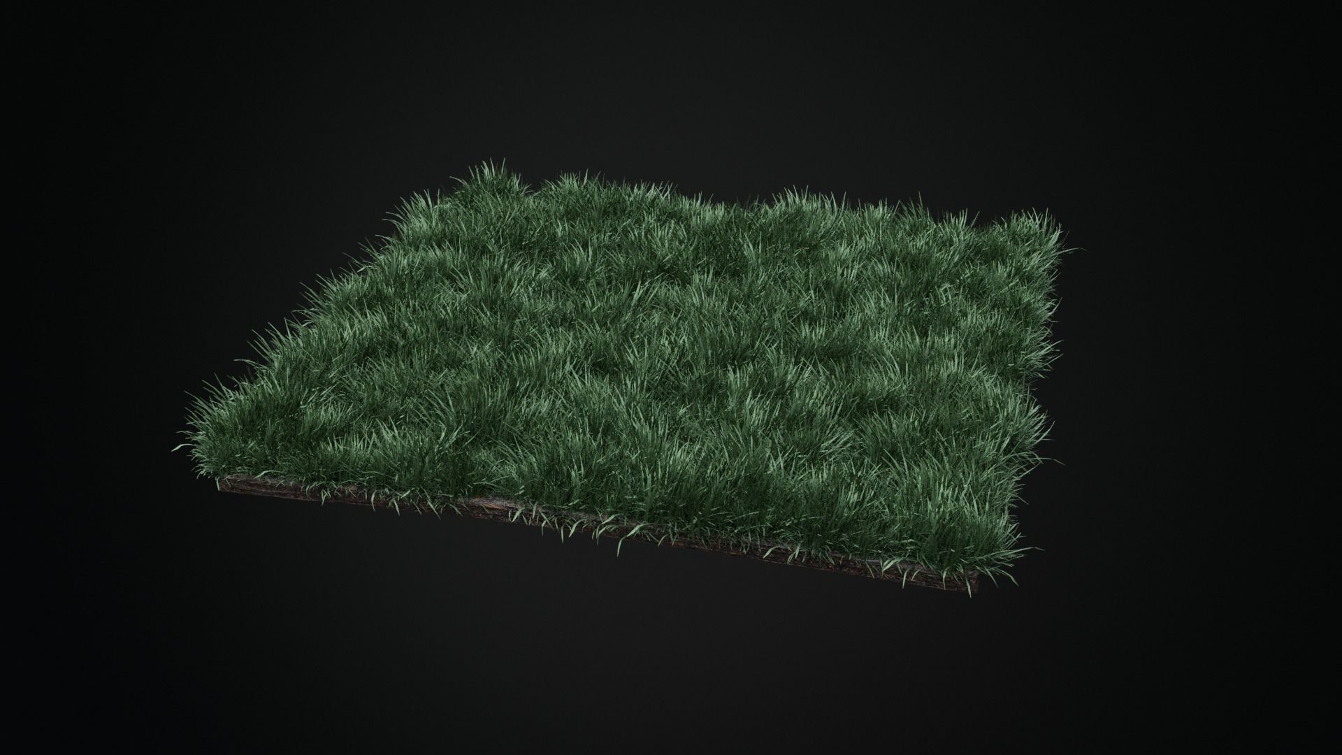 Grass Low-poly 3D model_8