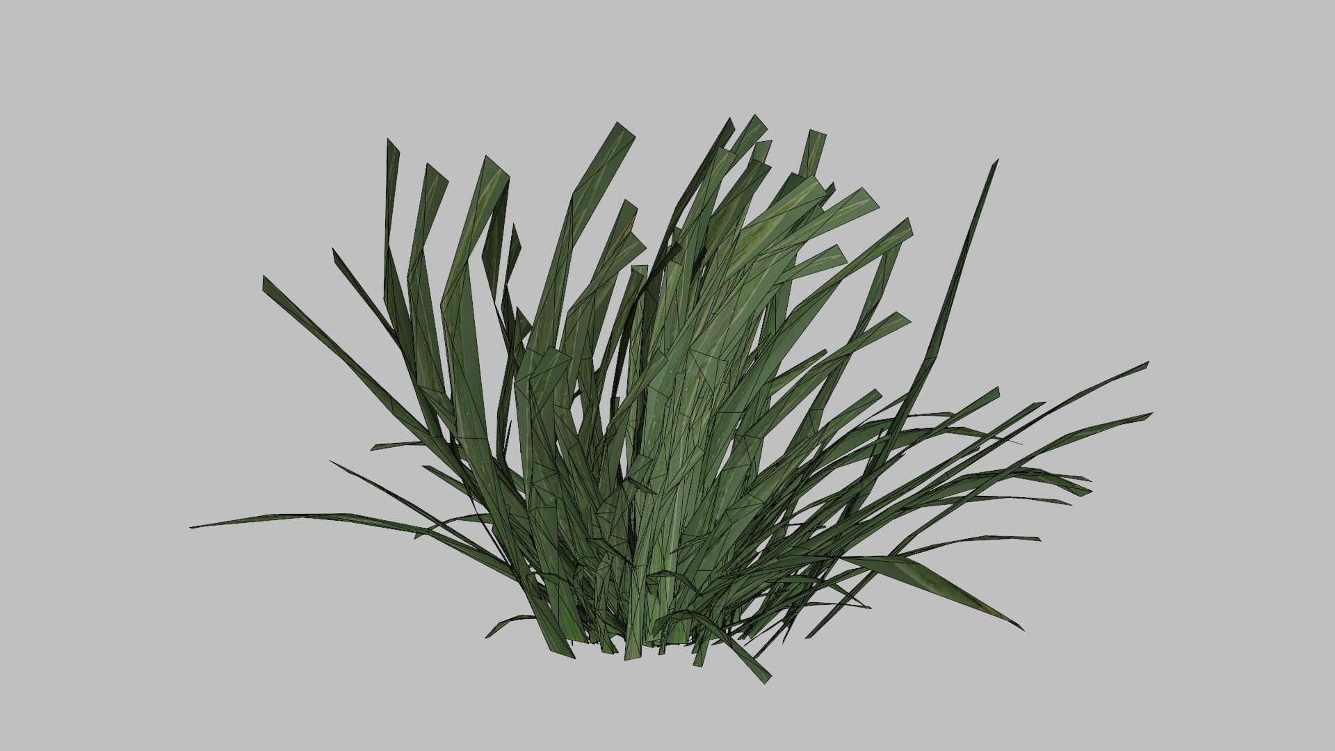 Grass Low-poly 3D model_10