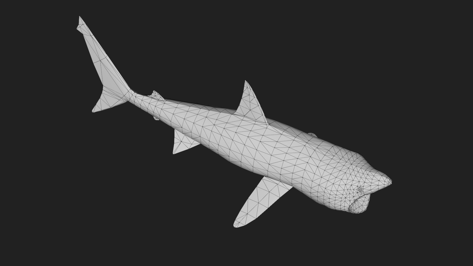 Shark Low-poly 3D model_3