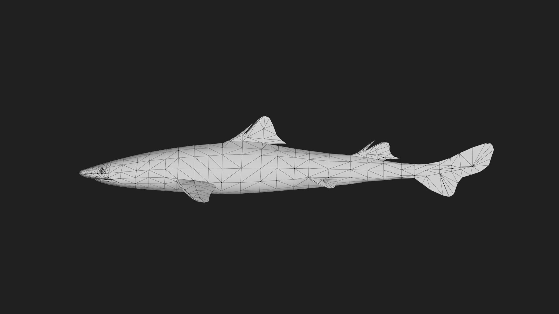 Shark Low-poly 3D model_1