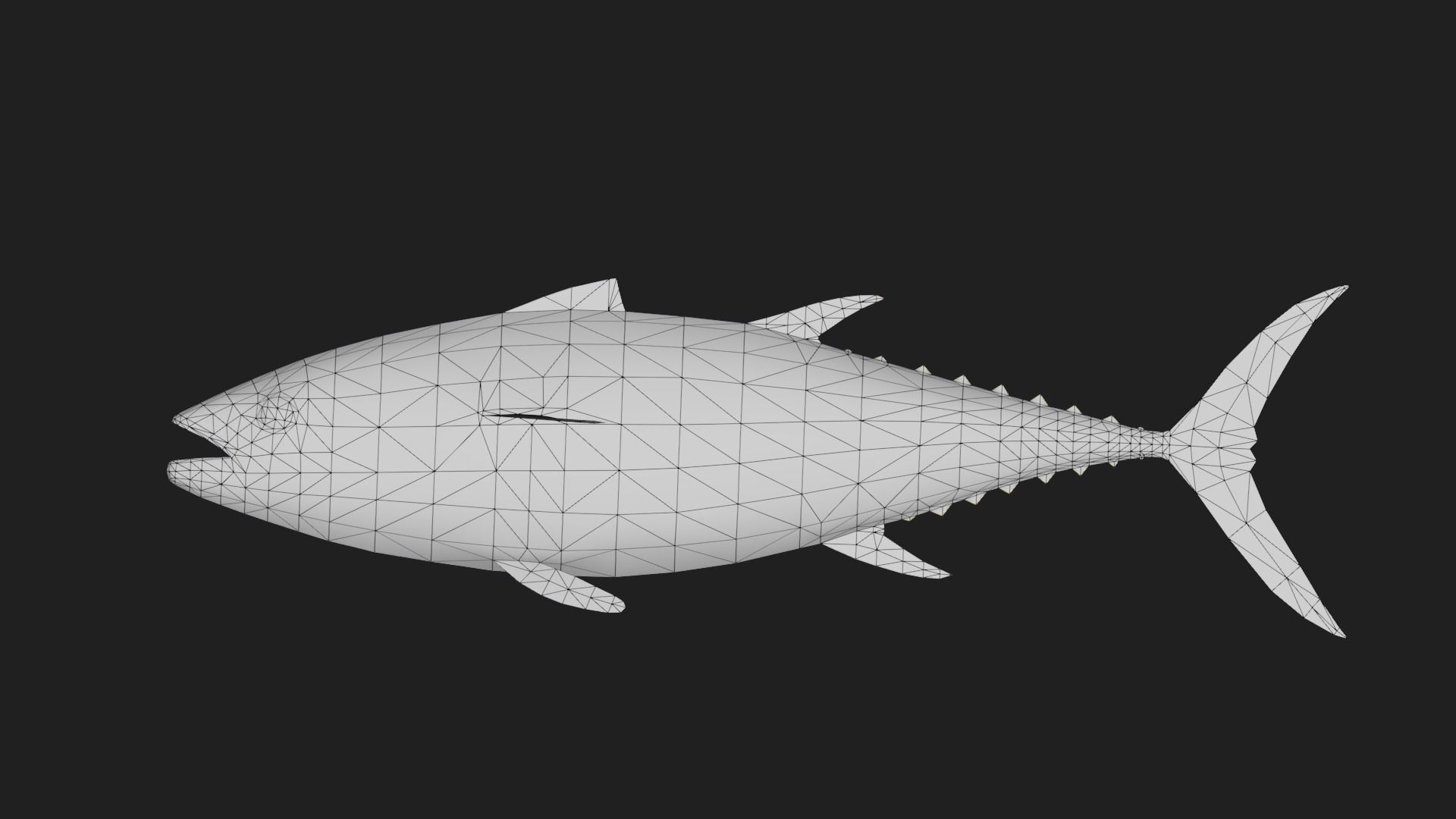 Tuna fish Low-poly 3D model_1