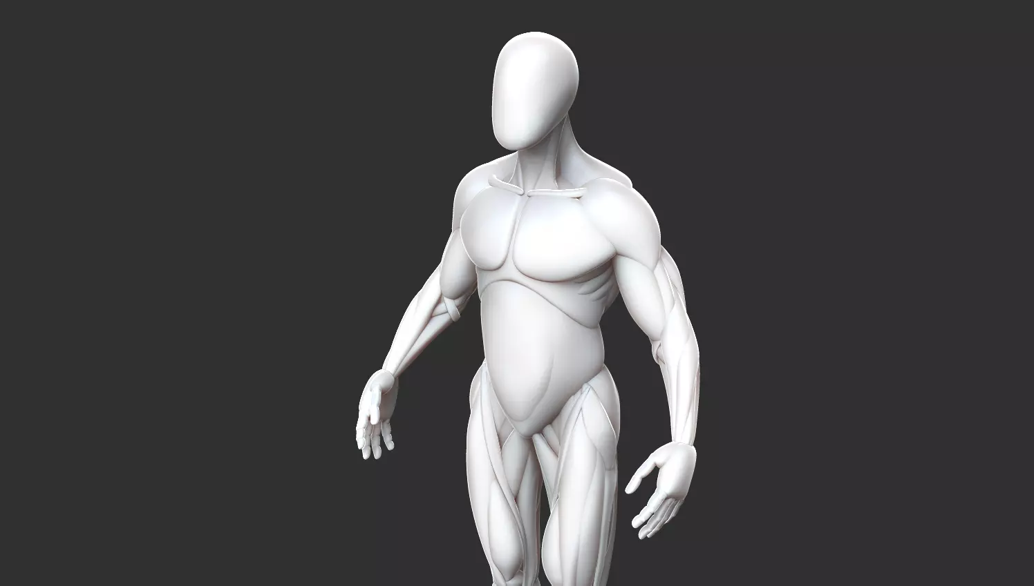 Male Anatomy Model Free 3D model_0