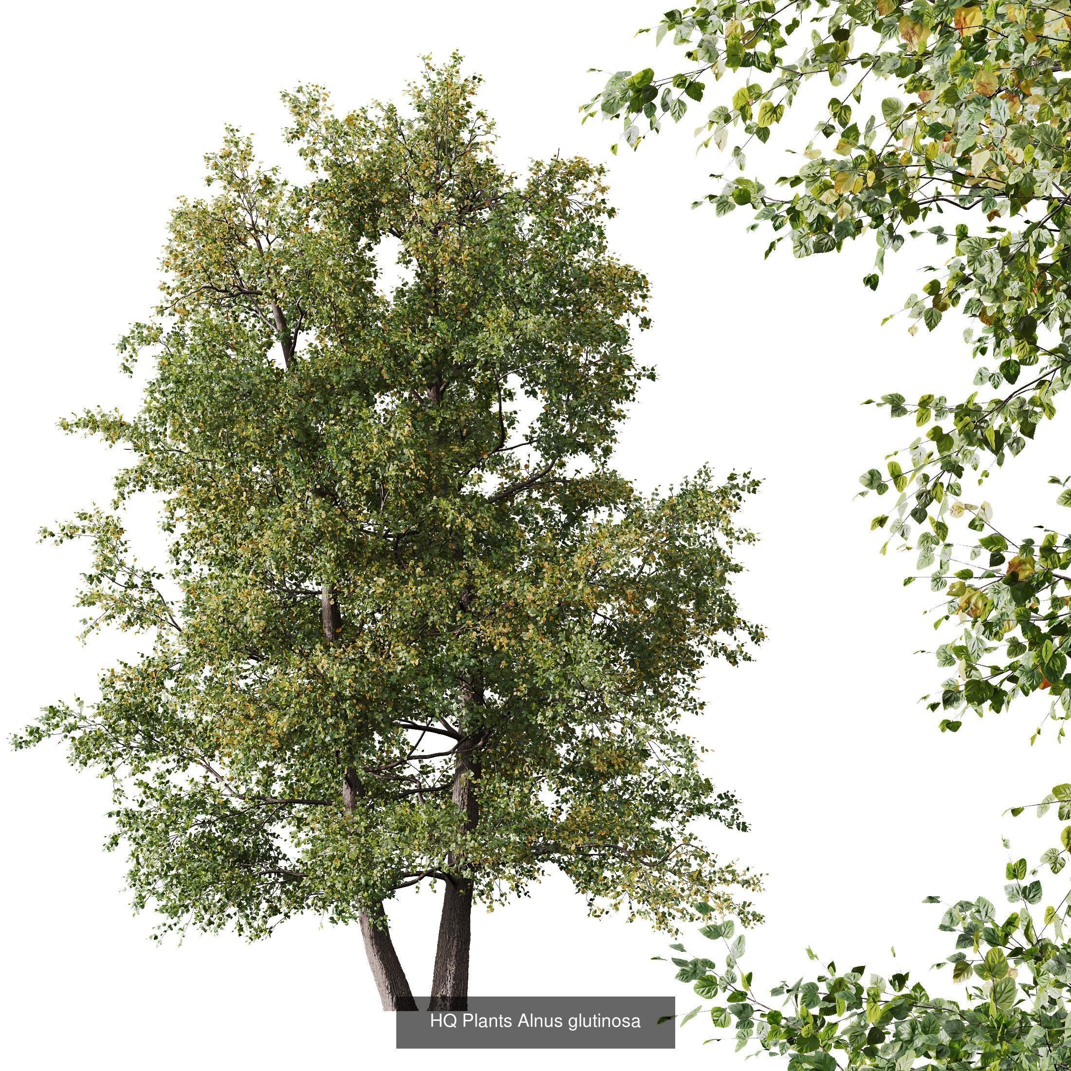 6 Different SETS of Tree SET VOL16 3D Model Collection_6