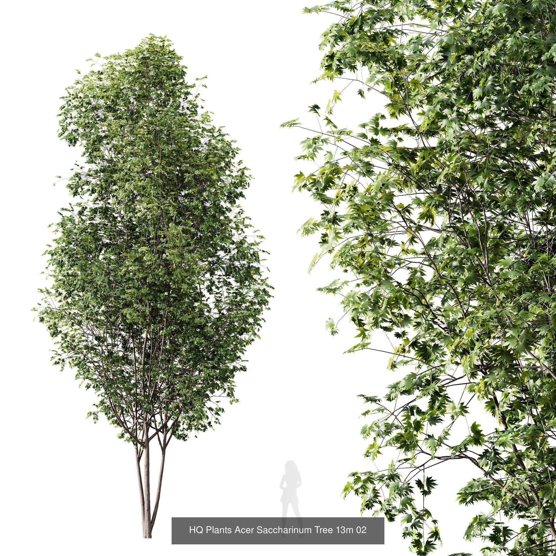 6 Different SETS of Tree SET VOL16 3D Model Collection_3
