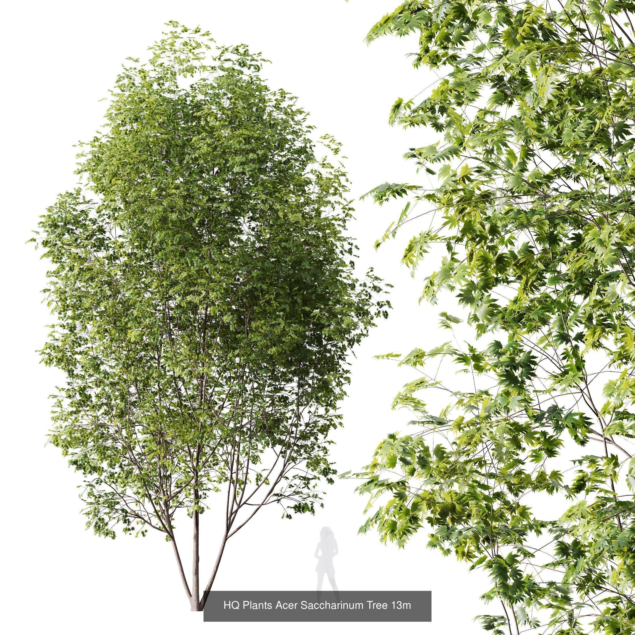 6 Different SETS of Tree SET VOL16 3D Model Collection_1