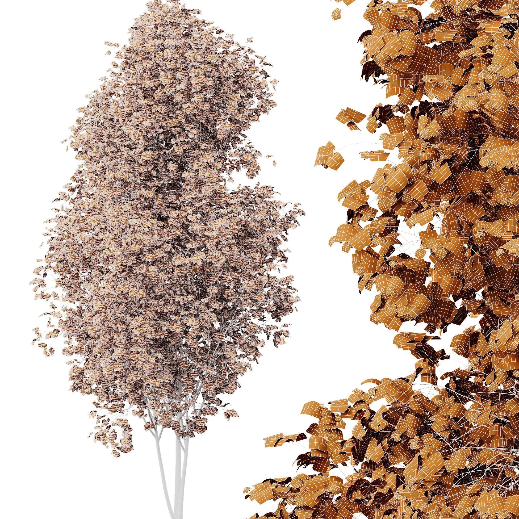 6 Different SETS of Tree SET VOL16 3D Model Collection_15