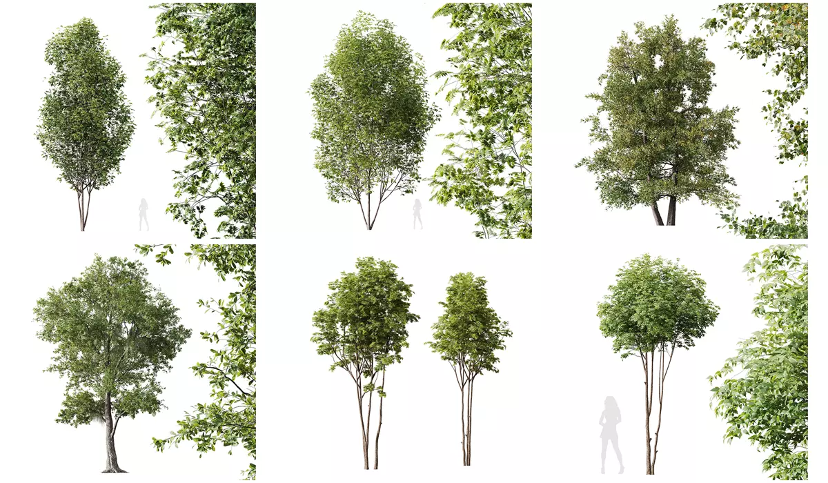6 Different SETS of Tree SET VOL16 3D Model Collection_0