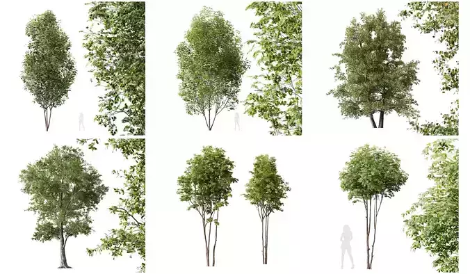 6 Different SETS of Tree SET VOL16 3D Model Collection