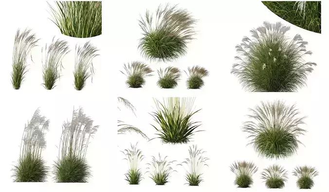 6 Different SETS of Grass Bush SET VOL17 3D Model Collection