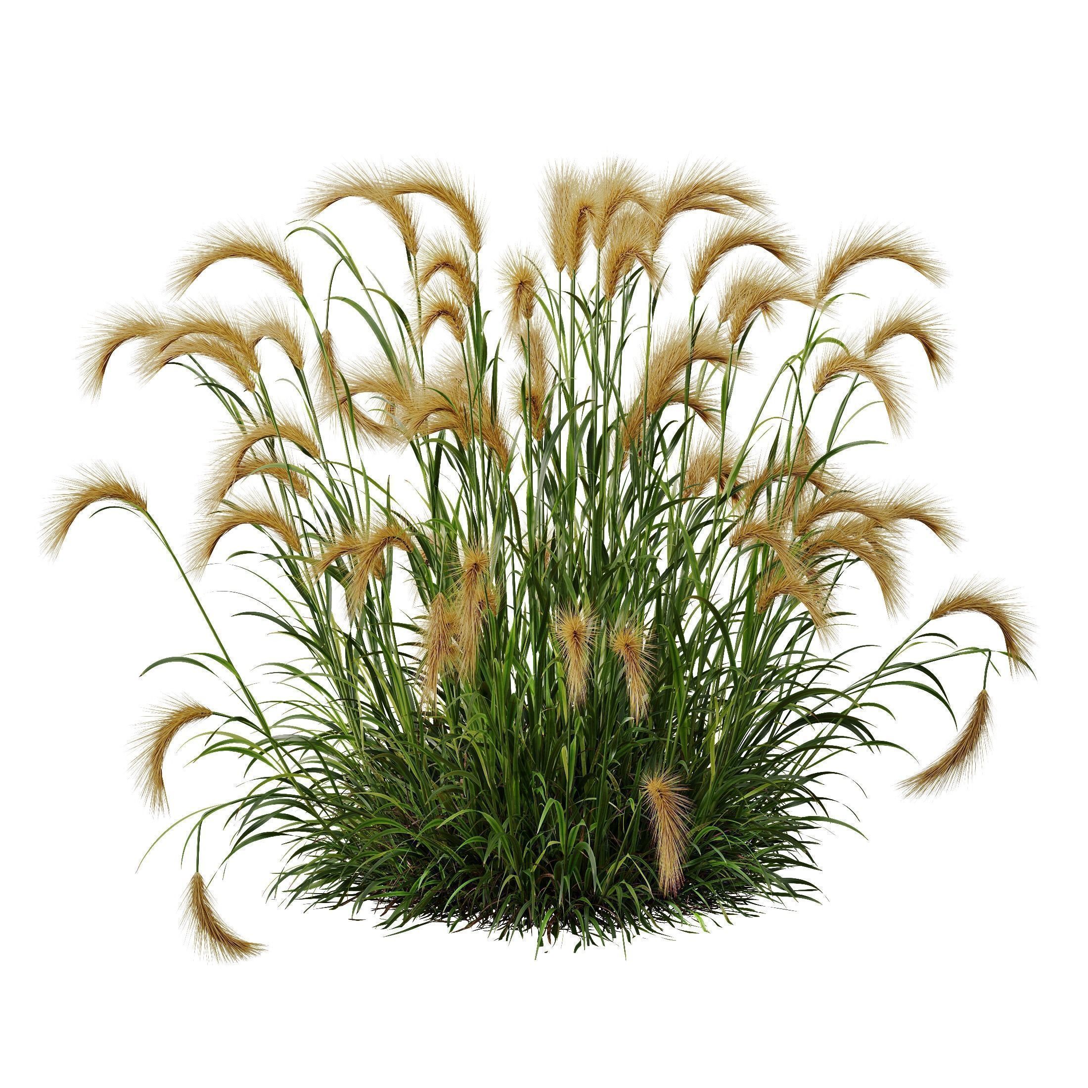  6 Different SETS of Grass Bush SET VOL19 3D Model Collection_7
