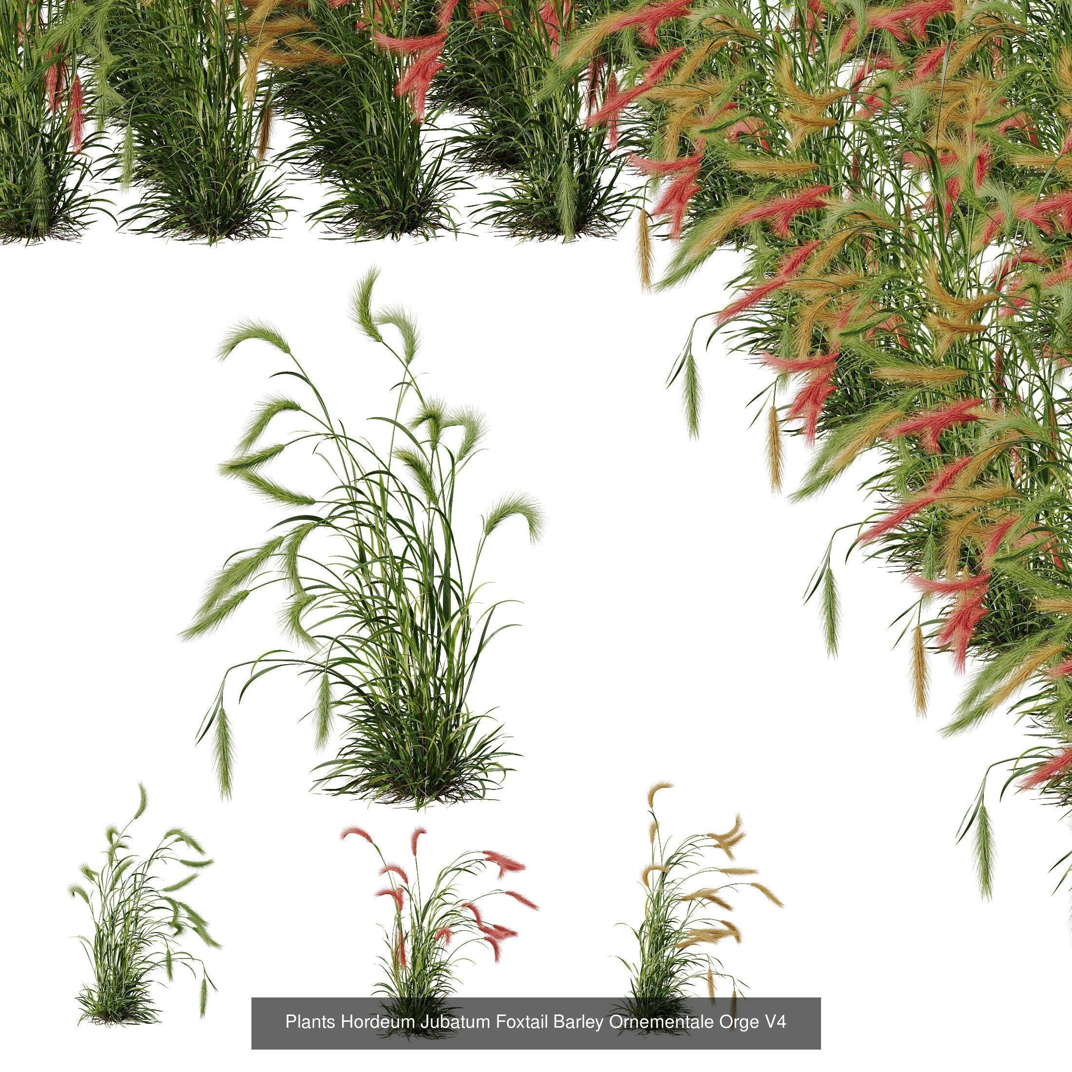  6 Different SETS of Grass Bush SET VOL19 3D Model Collection_3