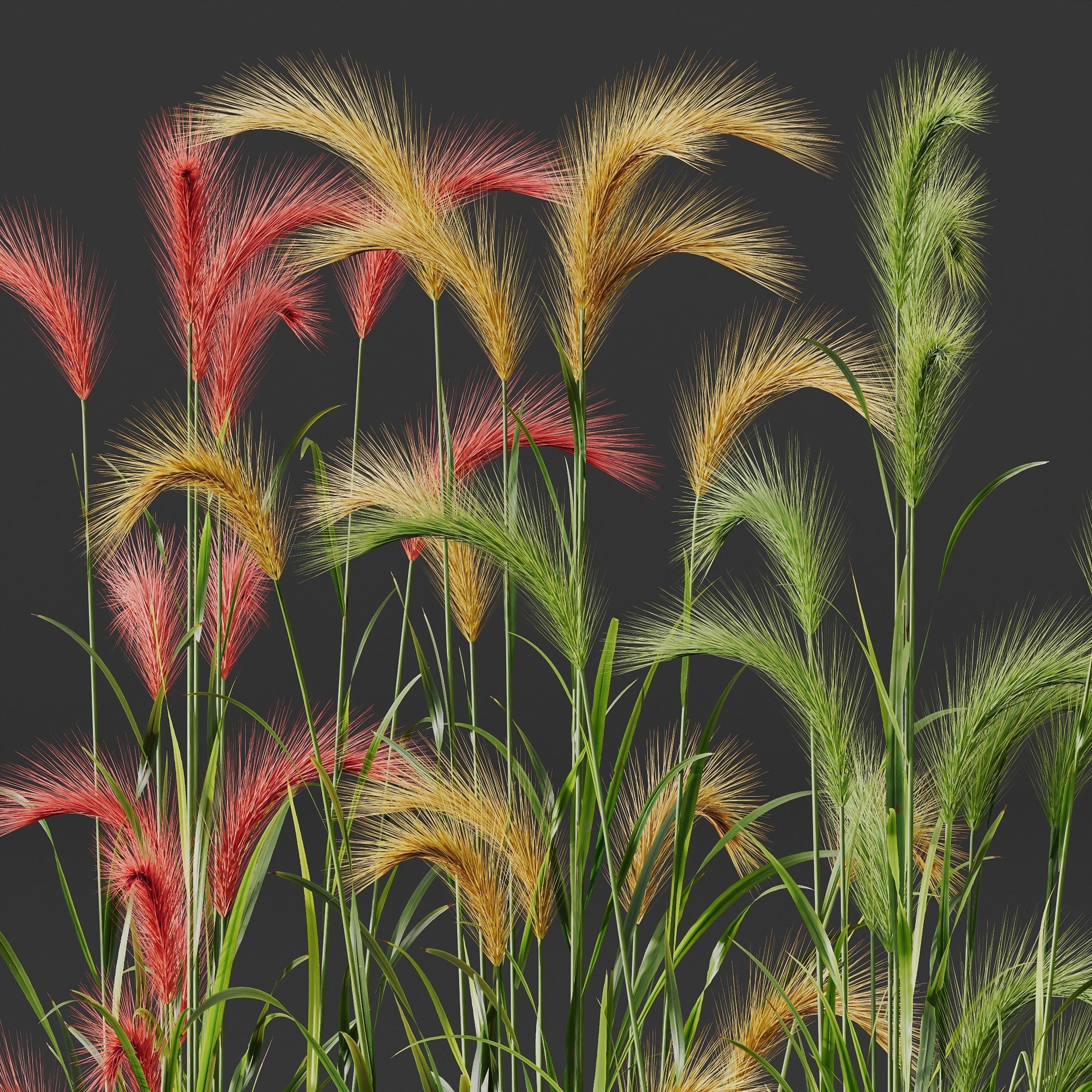  6 Different SETS of Grass Bush SET VOL19 3D Model Collection_17