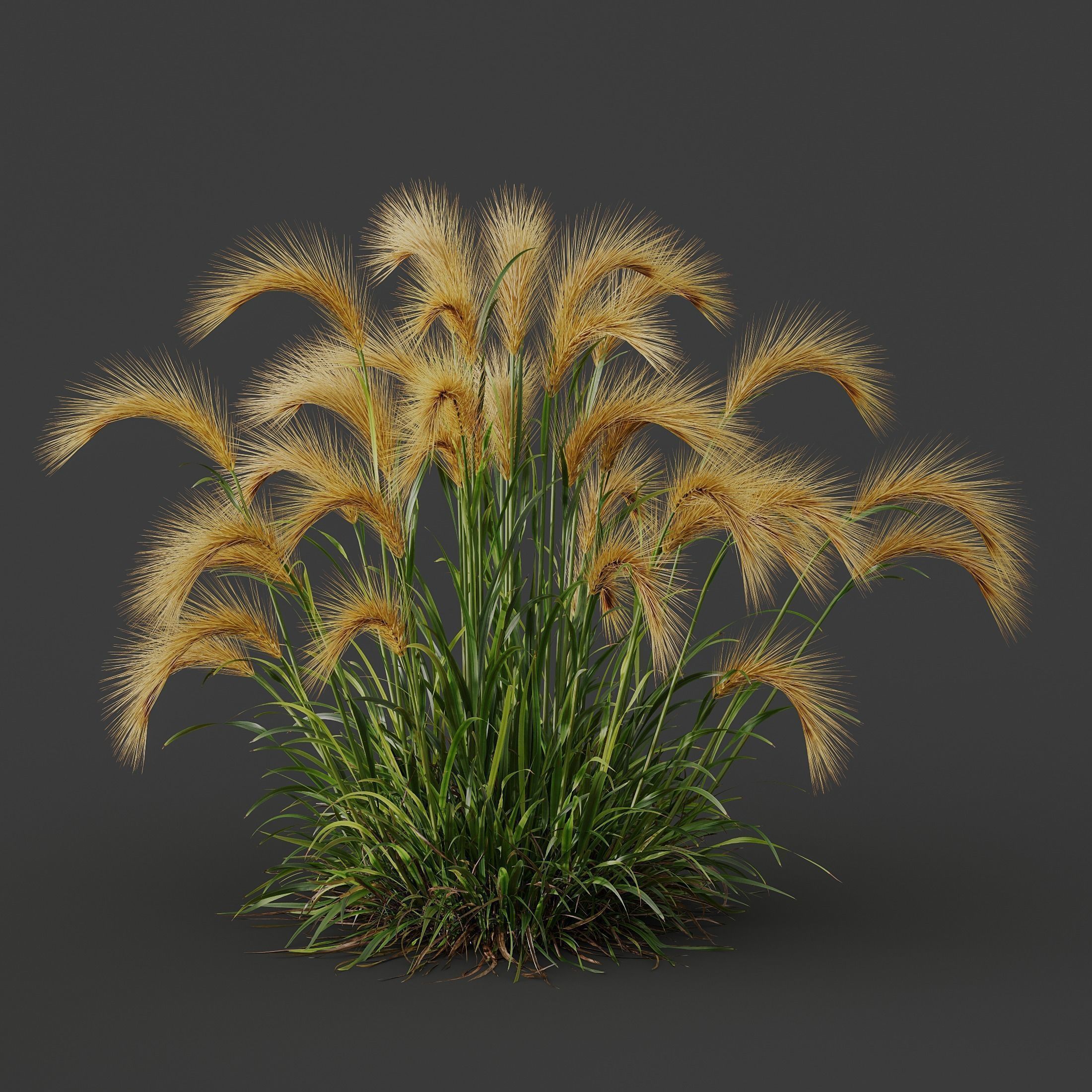  6 Different SETS of Grass Bush SET VOL19 3D Model Collection_11
