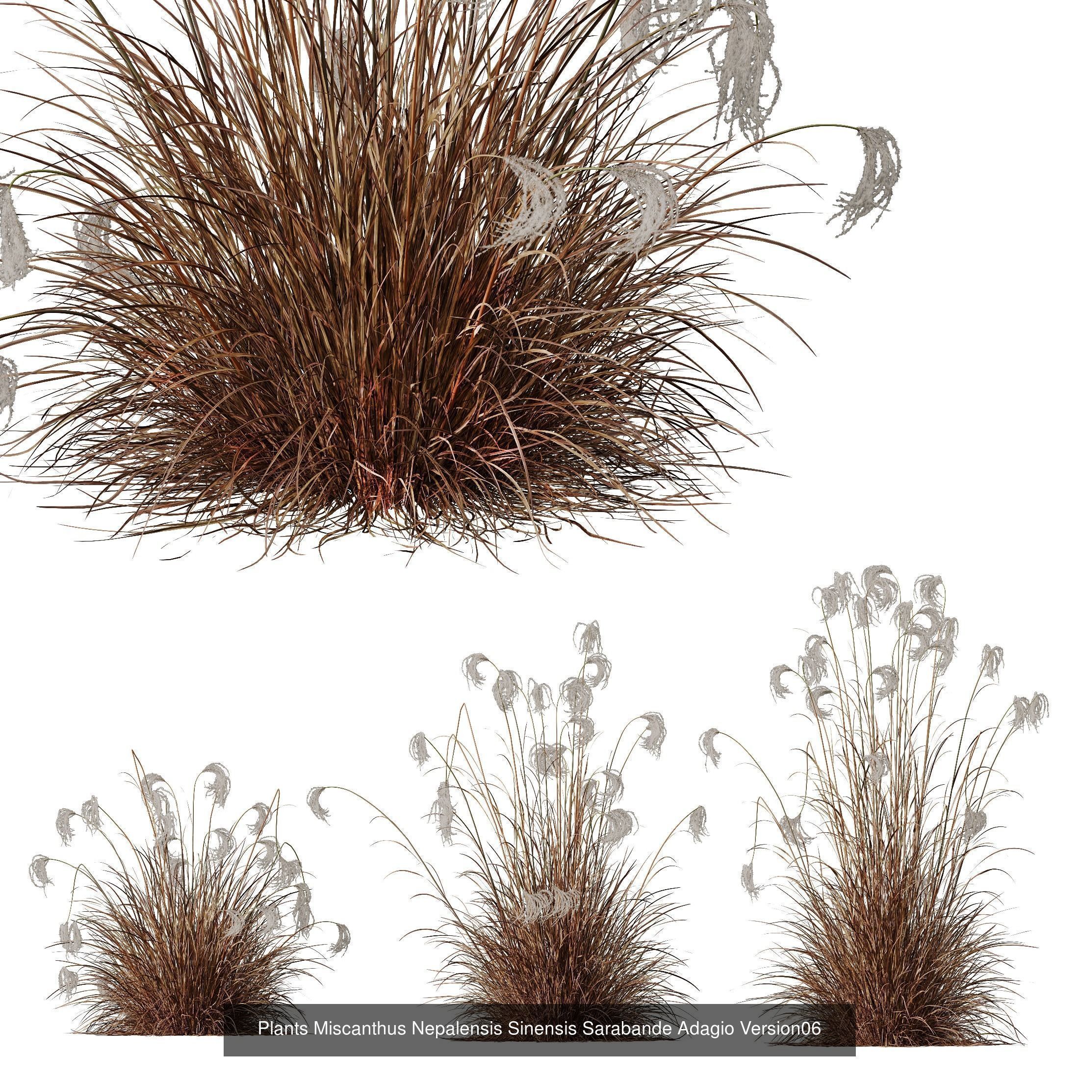  6 Different SETS of Grass Bush SET VOL19 3D Model Collection_6